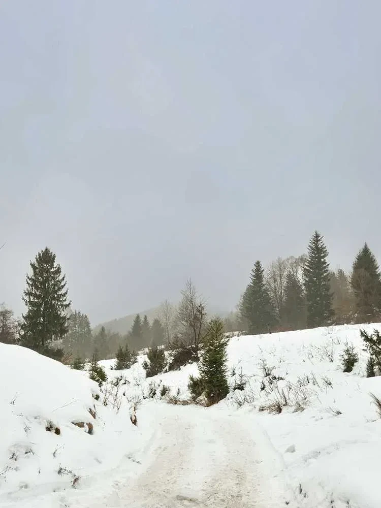 Будинок, Грабів: ділянка під забудову, камін і гараж - фото 2