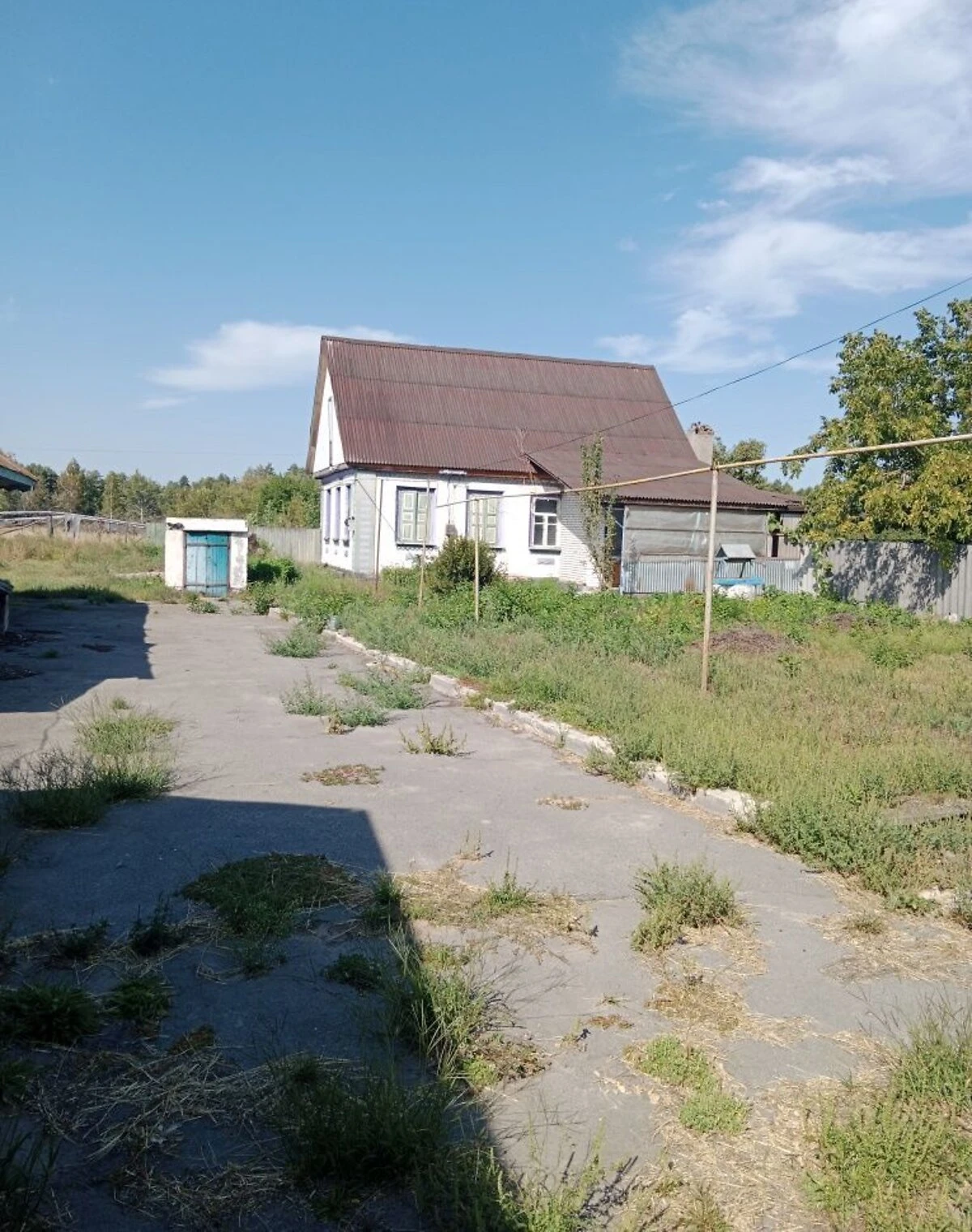 Будинок, Софіївка (Золотоноша): свердловина, криниця, цегляні стіни, фото 1