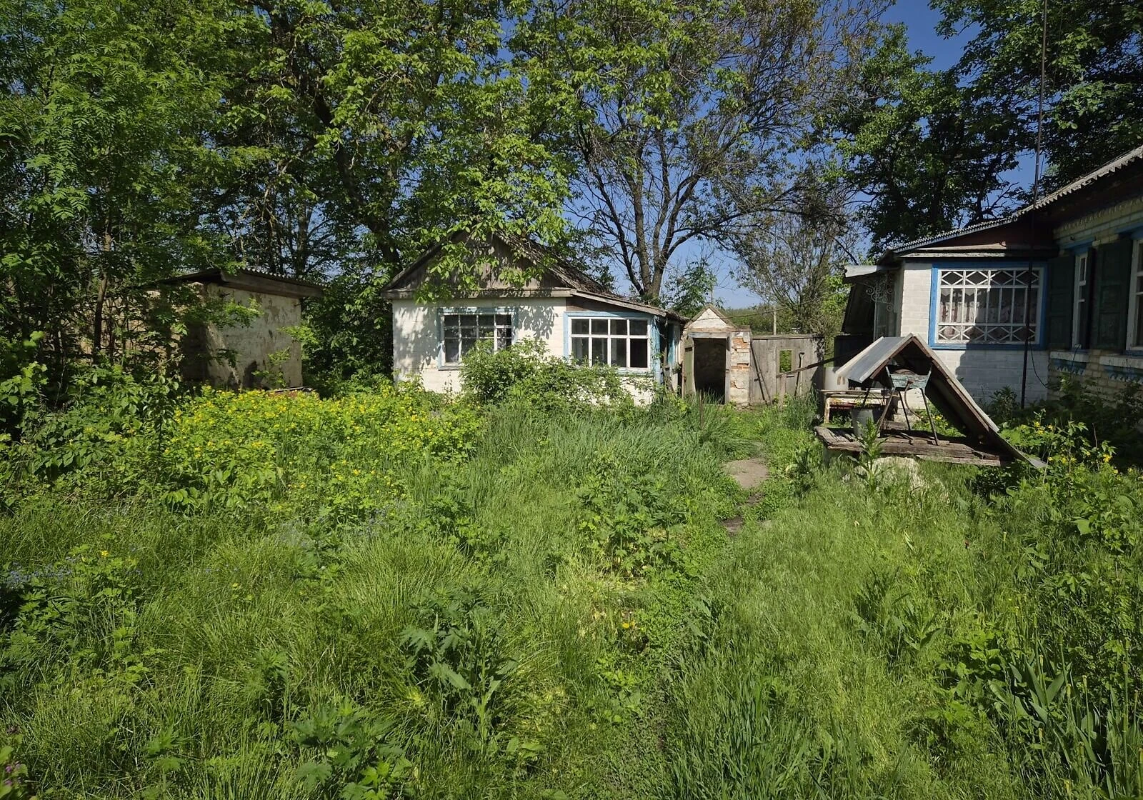 Будинок, Головківка: криниця, літня кухня, господарські будівлі - фото 4