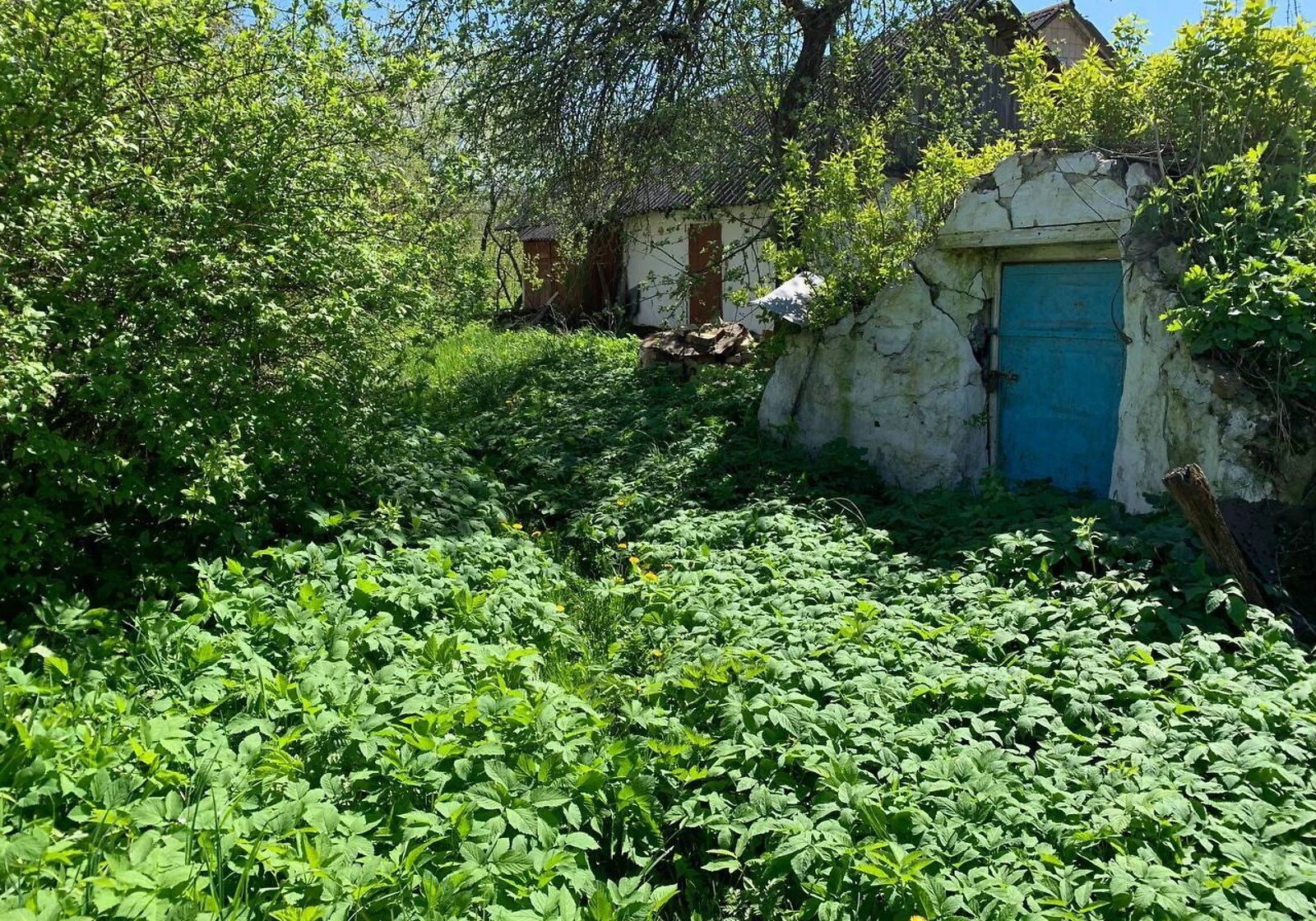 Будинок, Долинівка: гараж із підвалом, 12 соток, фото 3