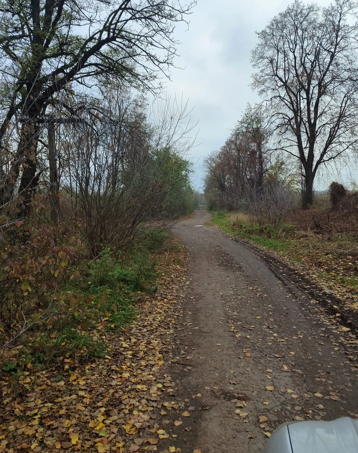Участок 6 соток, Стадница: чернозем, ровный рельеф, фото 3
