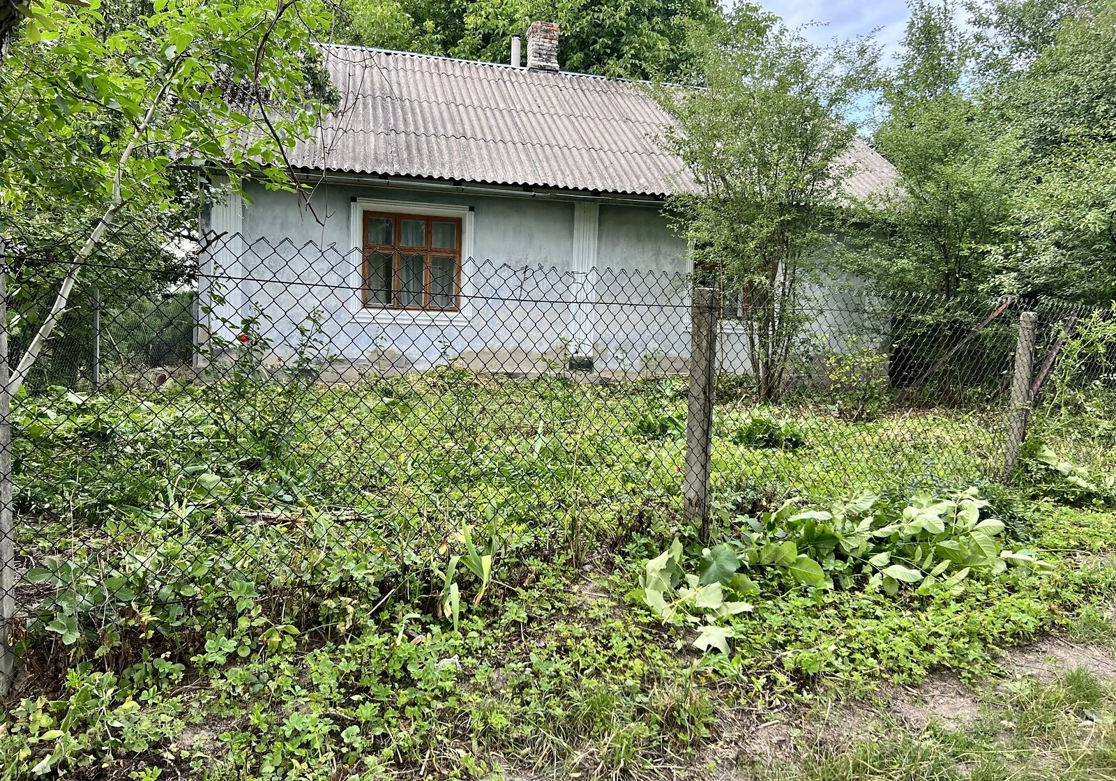 Будинок, Гаї-Дітковецькі: 10 соток, сад, газове й пічне опалення - фото 1
