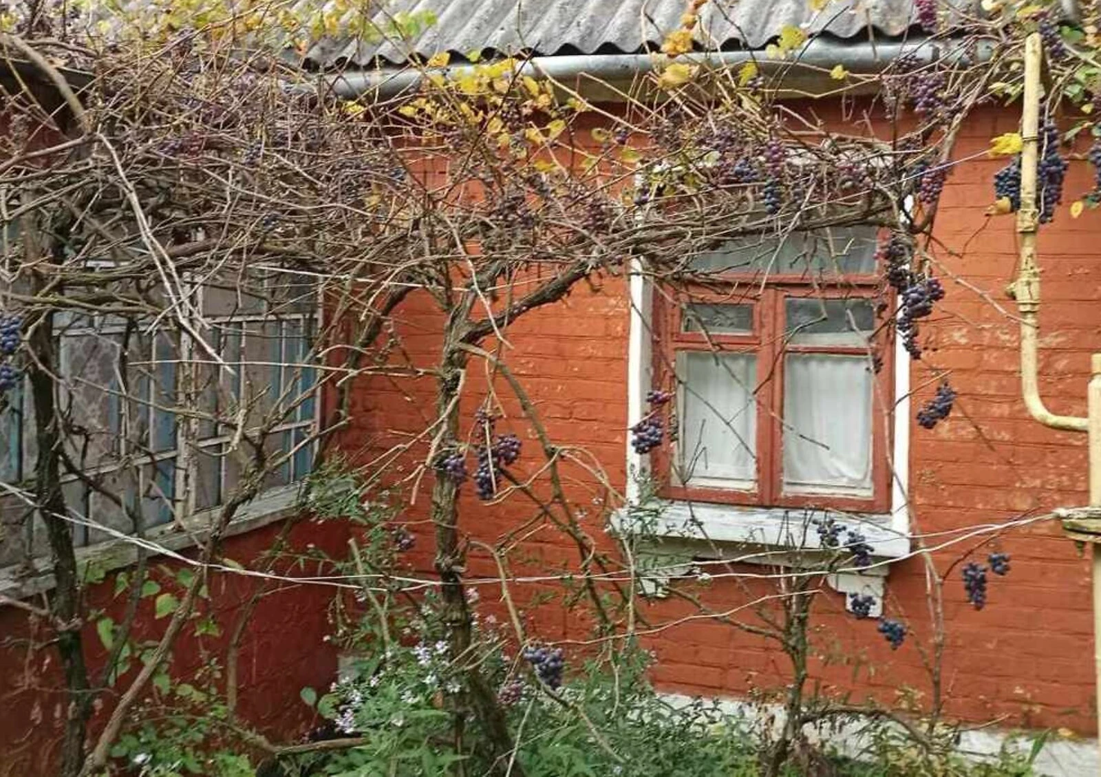Будинок, Краснопіль: гараж, бесідка, сад - фото 3
