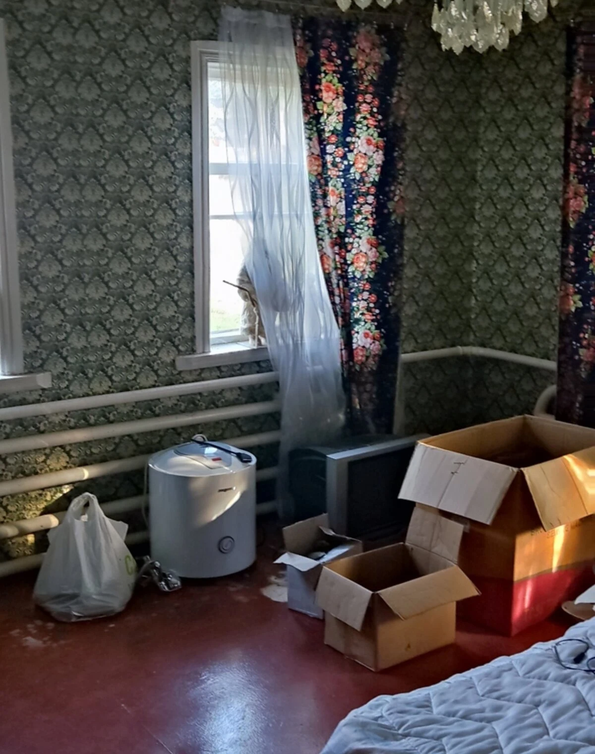 Будинок, Кролевець: веранда, гараж, опалення без світла - фото 5