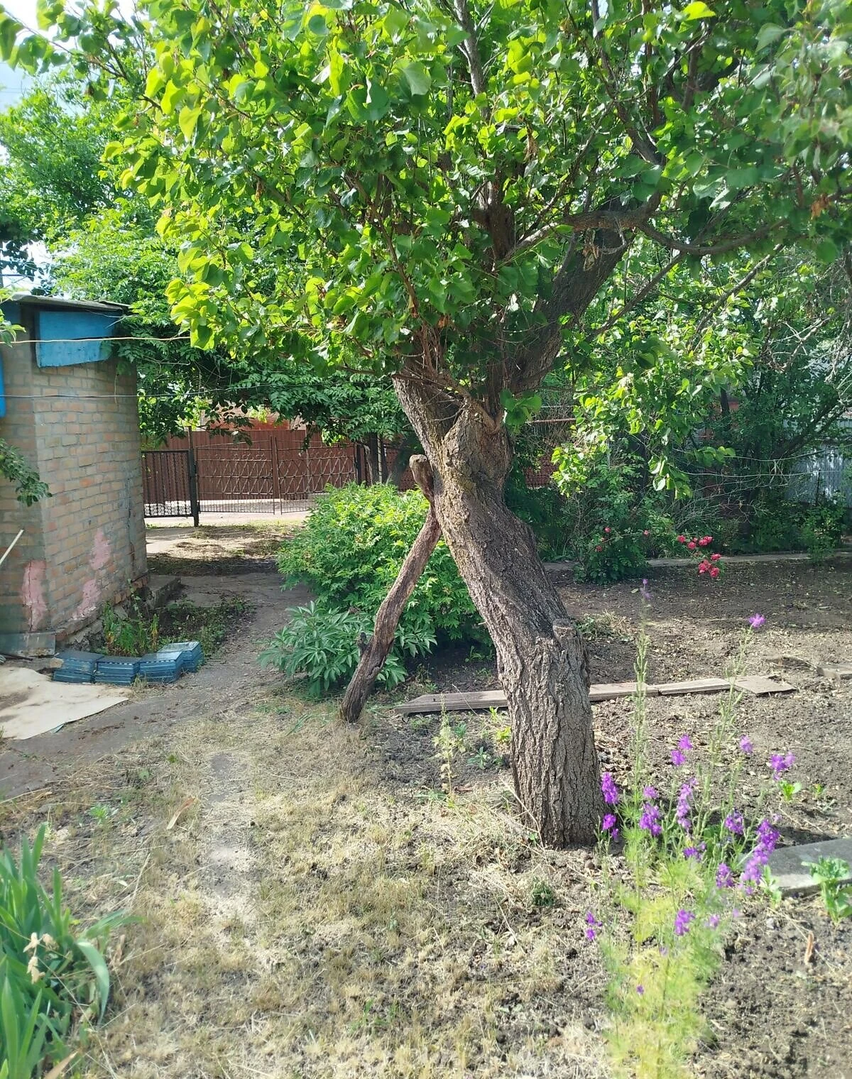 Дача, Крупское: большой балкон, система полива, фото 3