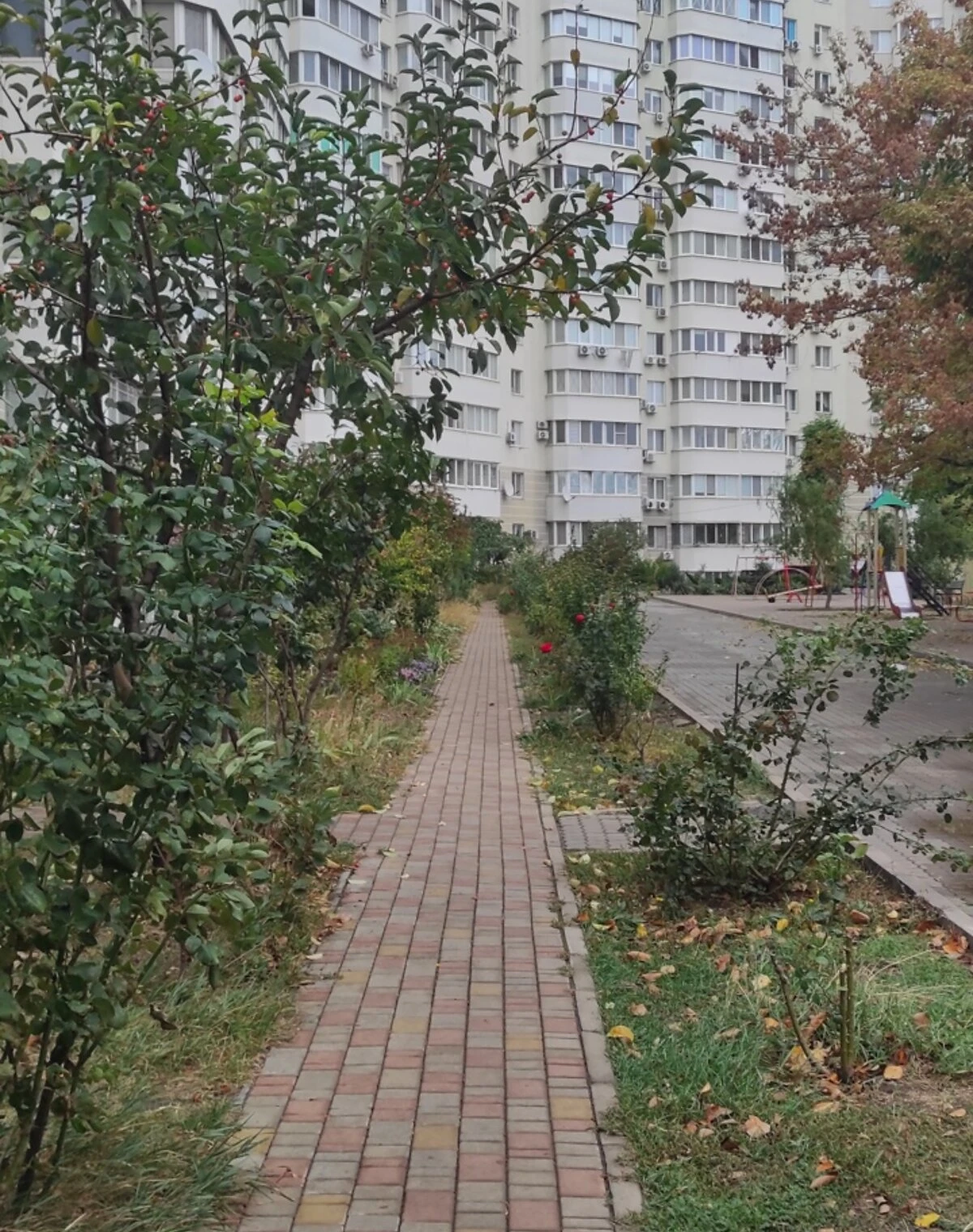 1-кімнатна квартира, Ближні Млини: резервне живлення, укриття в будинку - фото 4
