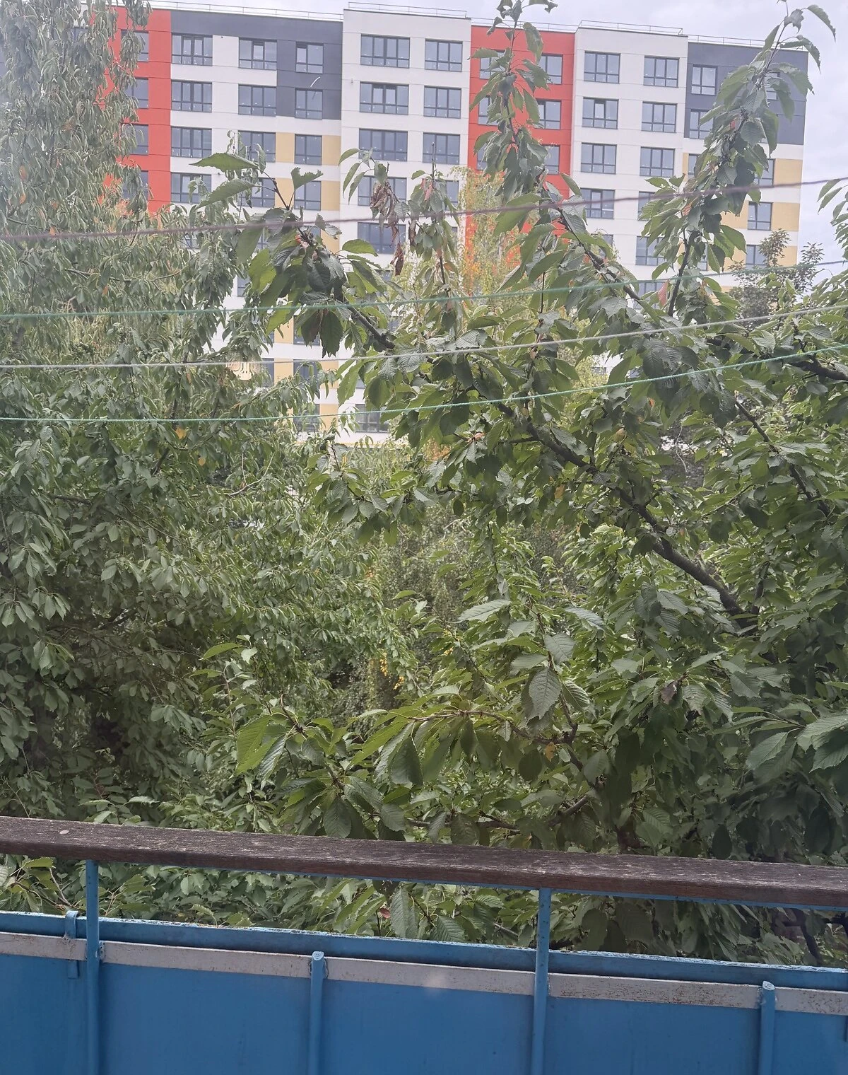 1-кімнатна квартира, Дружба: опалення і вода працюють без світла, фото 5