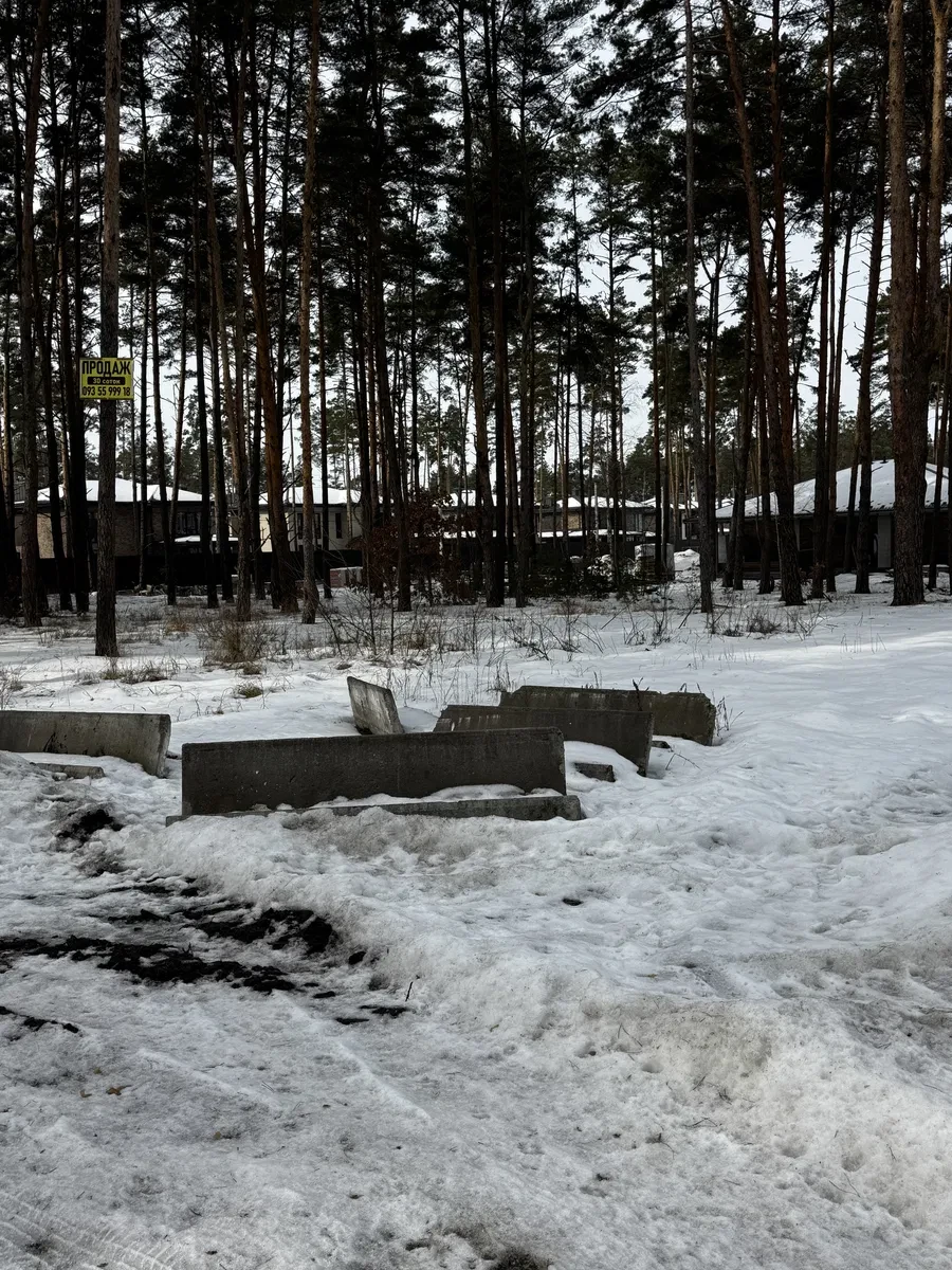 Ділянка 30 соток, Буча: підключене світло, газ по вулиці - фото 1
