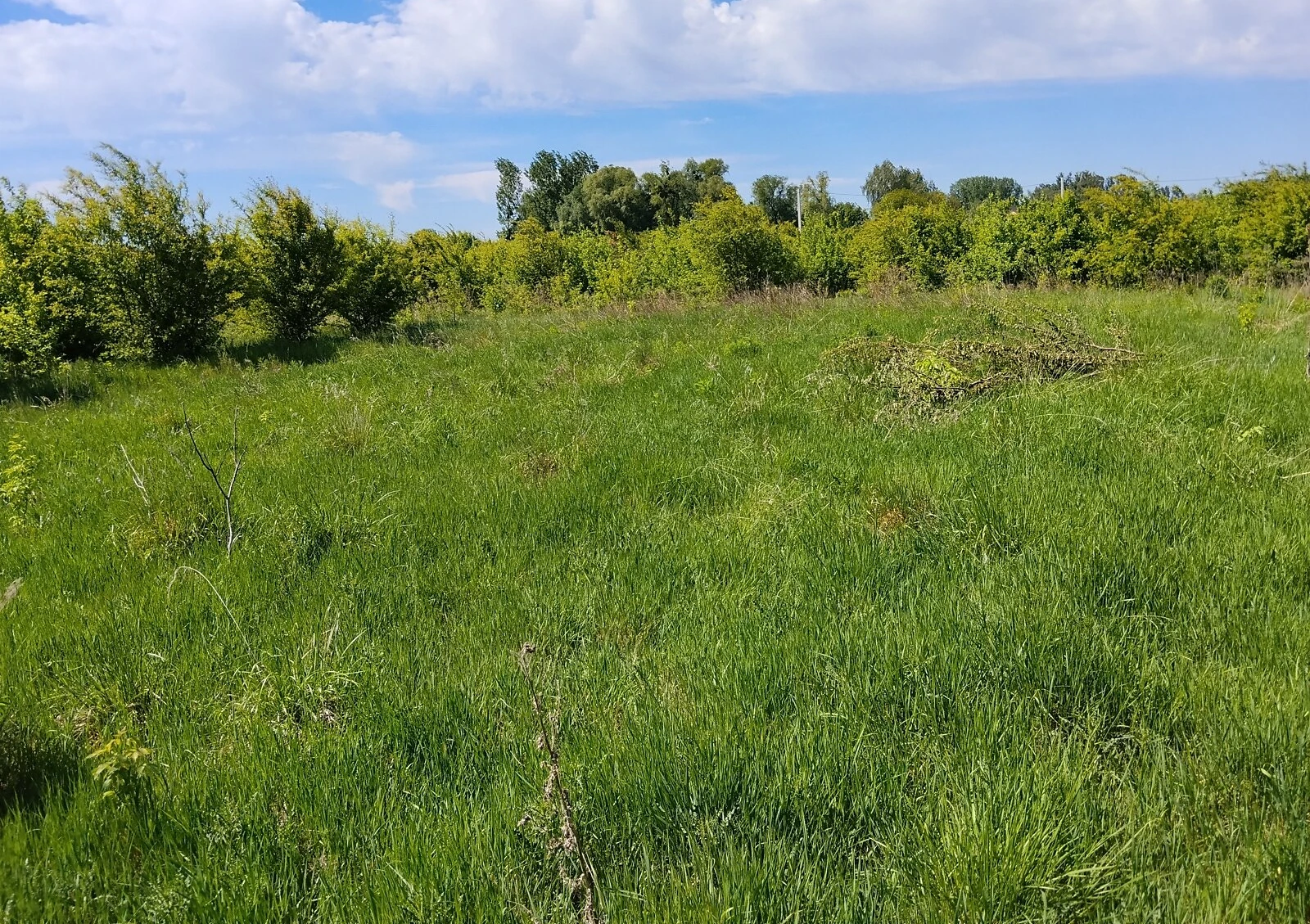 Ділянка 10.7 соток, Баїв: під житлову забудову, котеджне містечко - фото 1