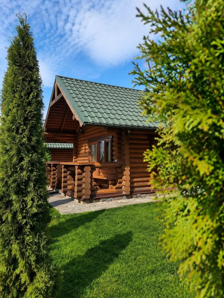 Дача, Колочава: два котеджі, біля річки, вода без світла - фото 4
