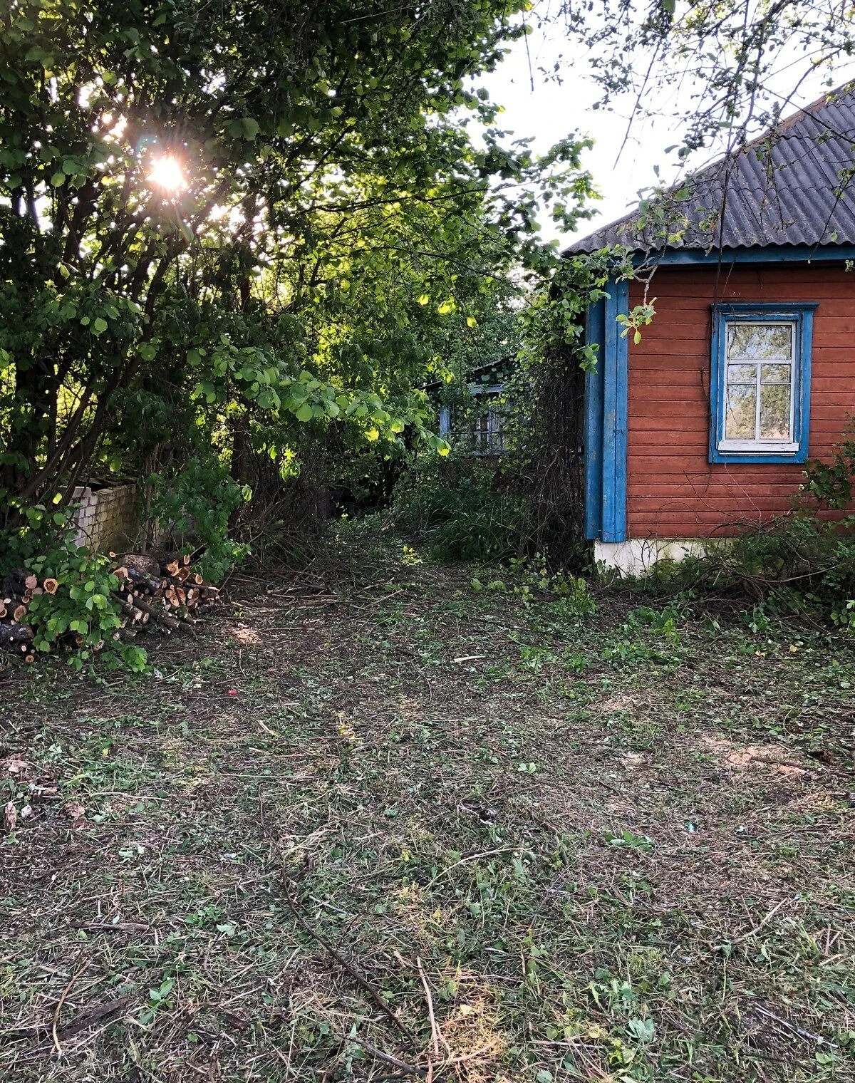 Дом, Веселевка: участок 25 соток, требует ремонта