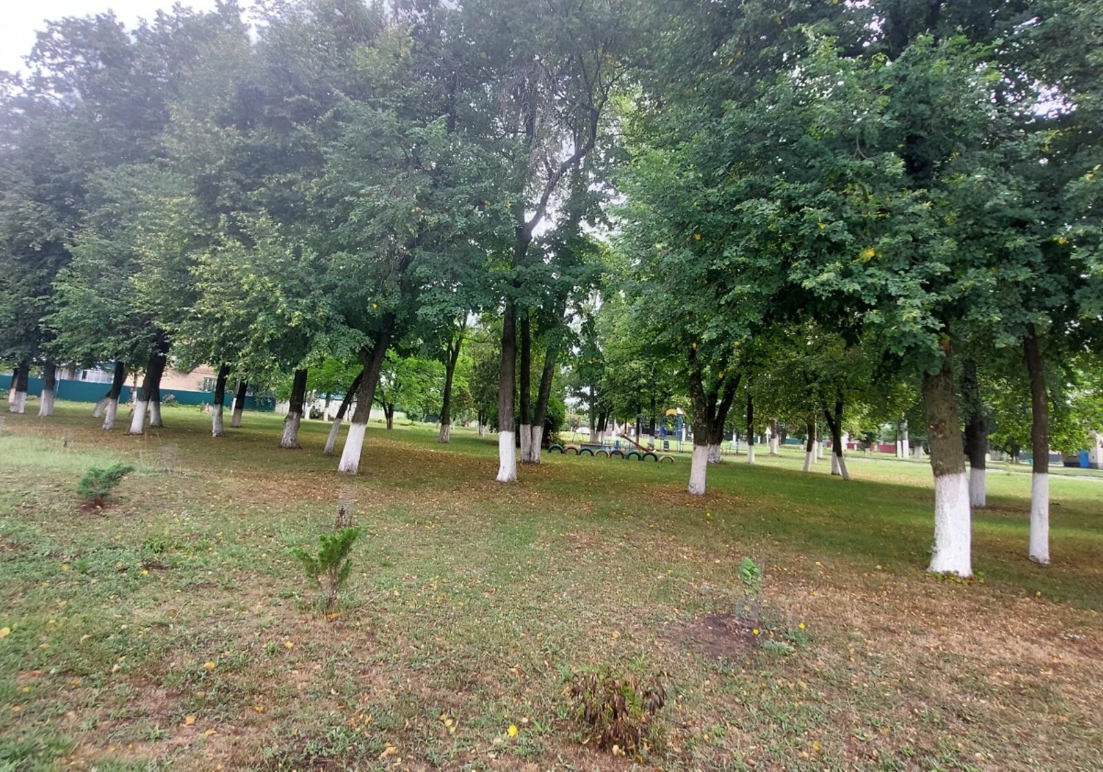 Ділянка 43.7 сотки, Слобода: під житлову забудову, під гараж - фото 2