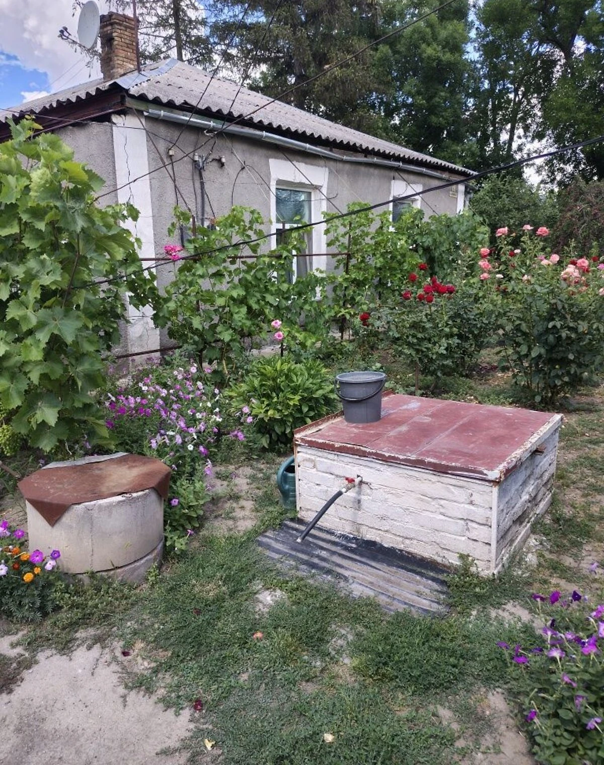 Частина будинку, Устинівка: басейн, літня кухня - фото 2