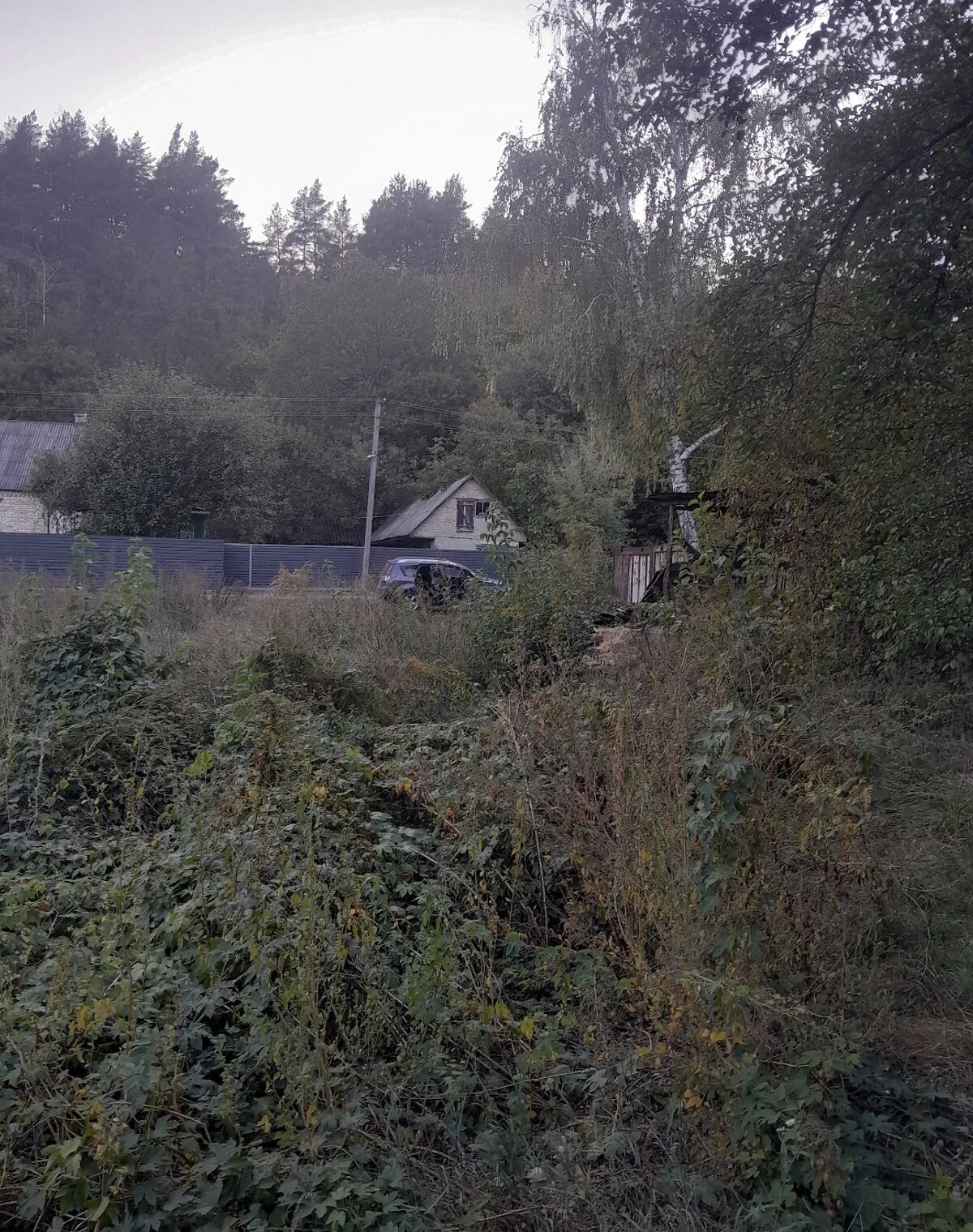 Ділянка 0.2012 сотки, Великі Дмитровичі: чорнозем, свердловина - фото 2