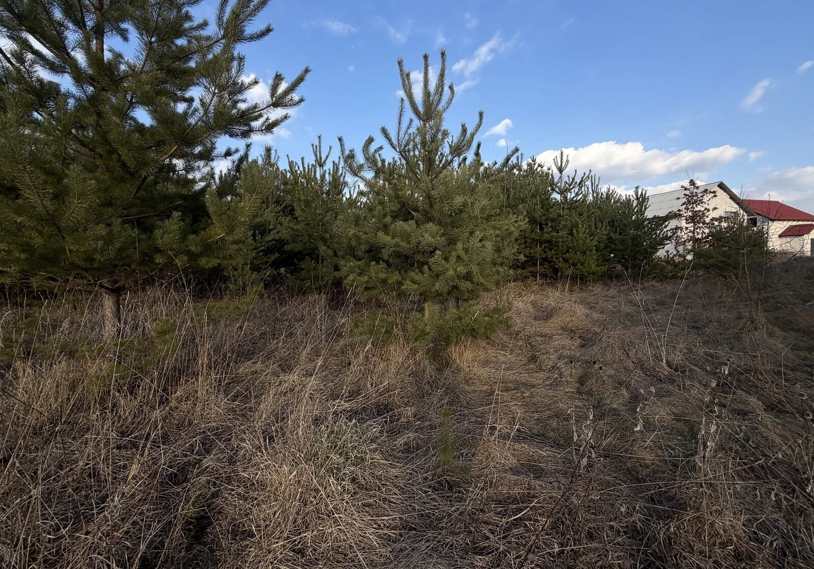 Ділянка 15 соток, Юзвин: під житлову забудову, фундамент, фото 2