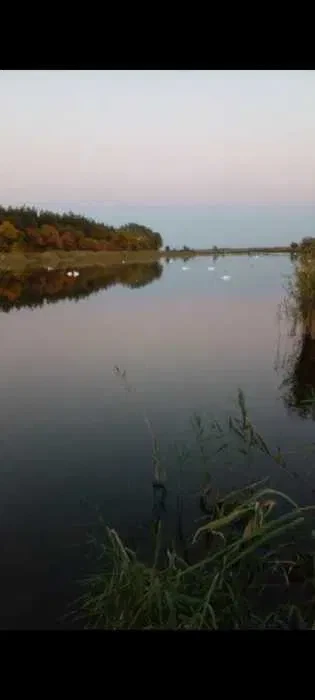 Ділянка 9 соток, Новоселівка: перша лінія до річки, світло і вода - фото 2