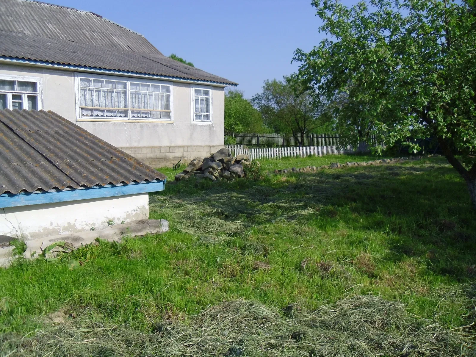 Будинок, Голичівка: 25 соток, сад, господарські будівлі, фото 2