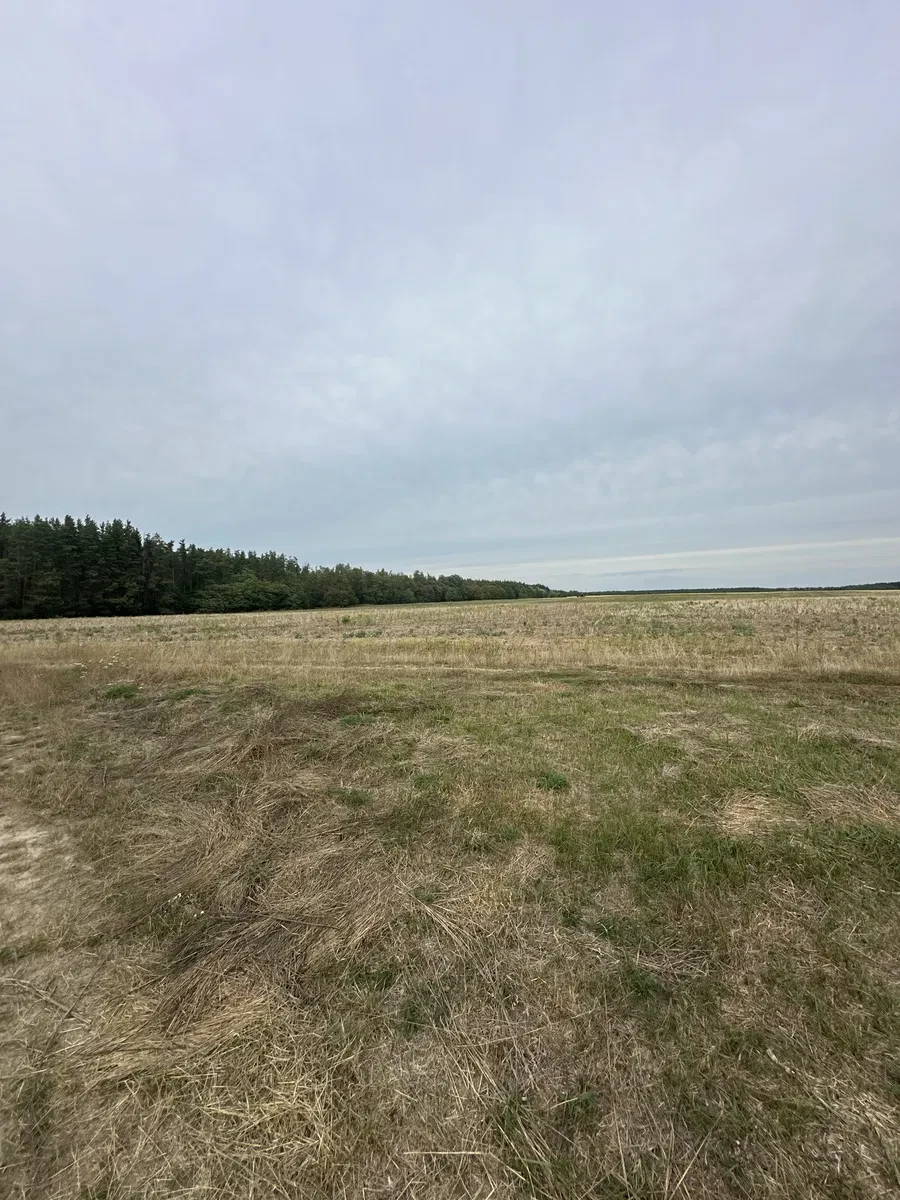 Ділянка 3 000 соток, Лишня: асфальтований під’їзд, межує з лісом - фото 3