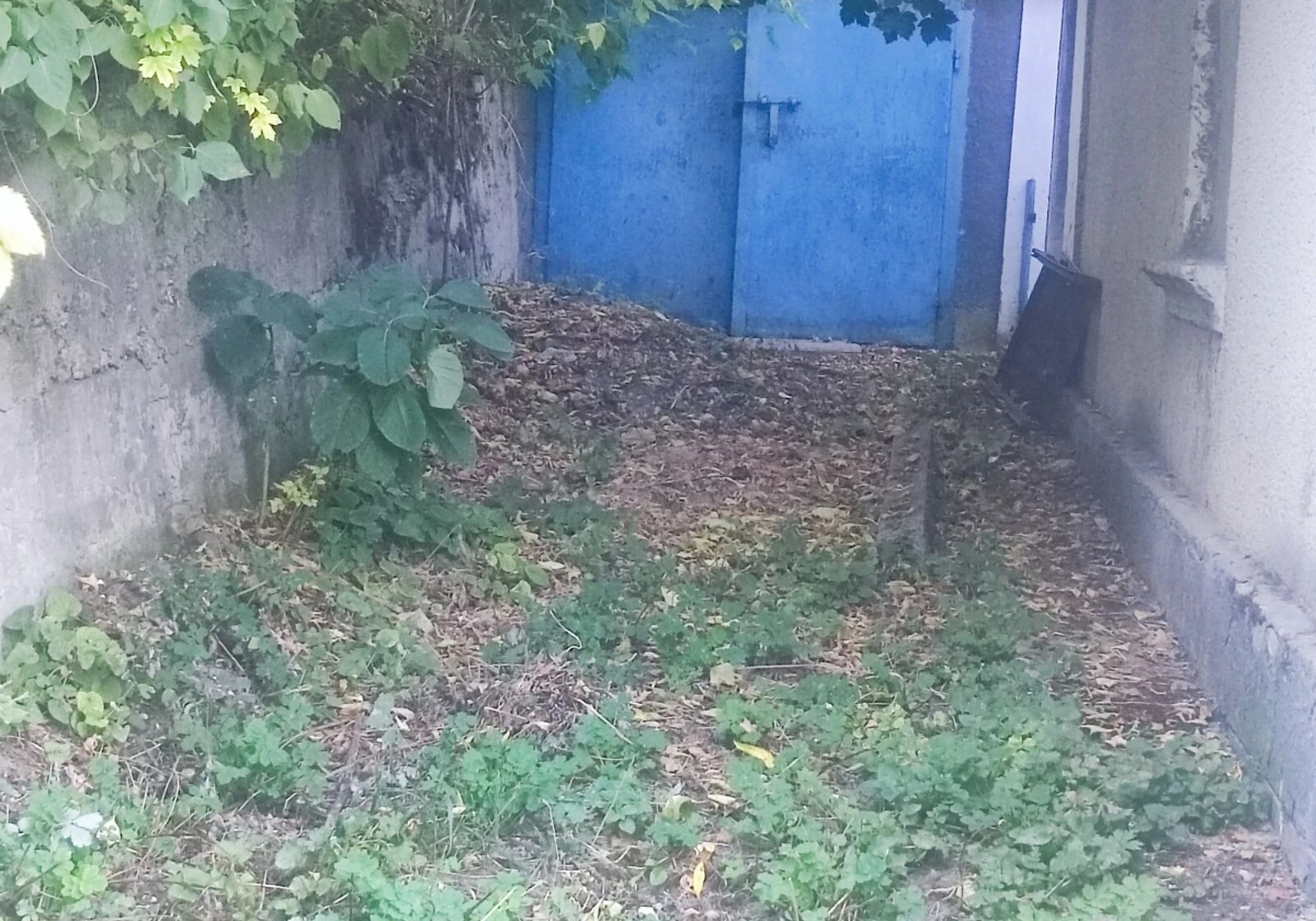 Дом, Городок: 8 соток, индивидуальное отопление, гараж во дворе - фото 2