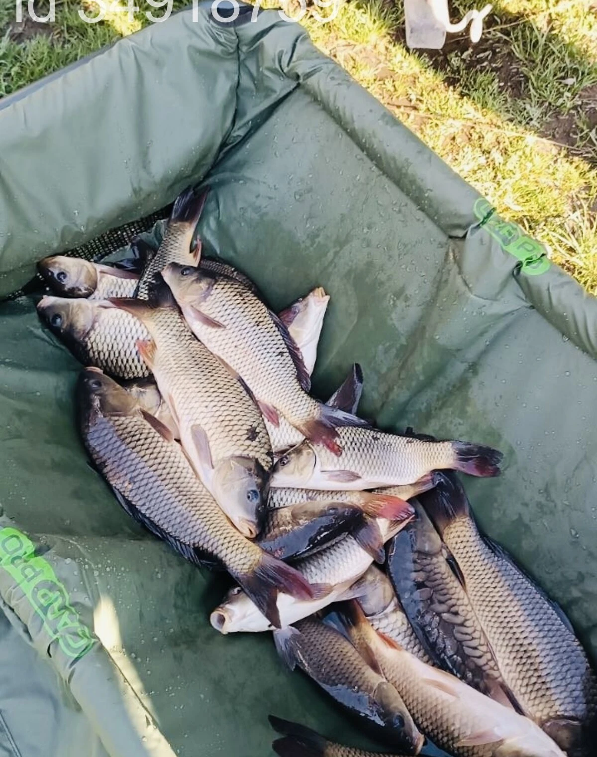 Ділянка 5 га, Болехівці: природне озеро, центральний водопровід, фото 4