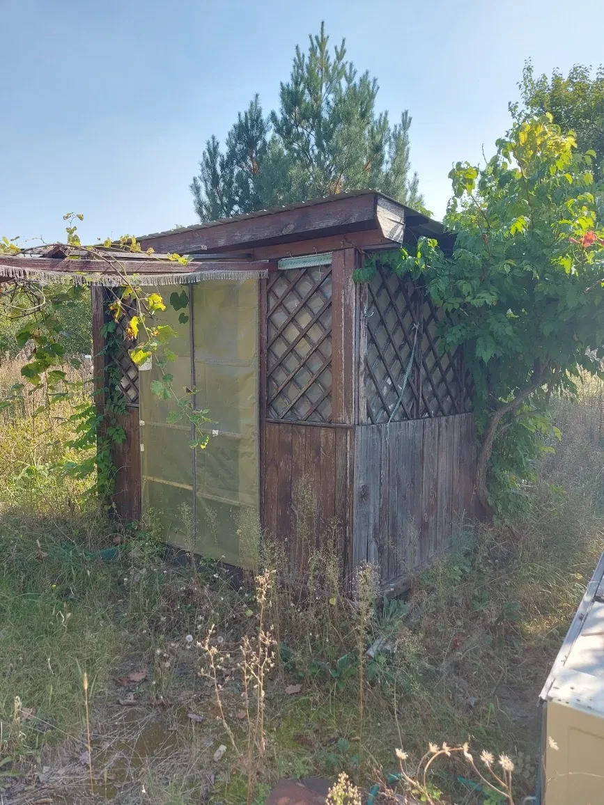 Дача, Мажуговка: вагончик 3×6, лес в 1 км, фото 5