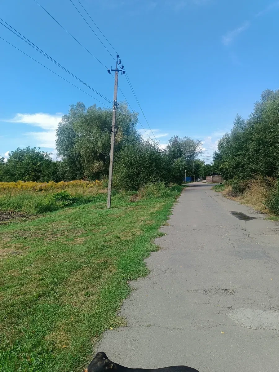 Ділянка 20 соток, Клавдієво-Тарасове: ОСГ, електрика, фото 3