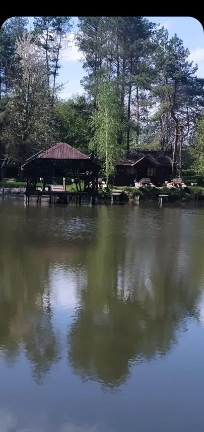 Фермерское хозяйство, Гуменне: 7 га леса, 3 га прудов, 5 домиков - фото 1