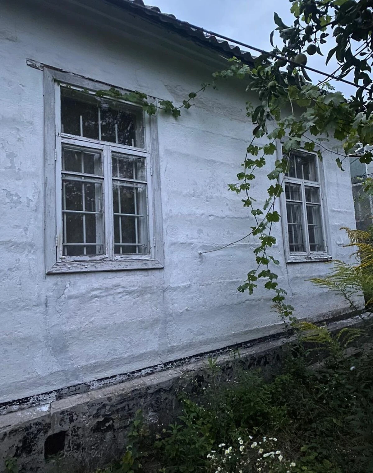 Будинок, Шляхівка: ділянка 504 м², індивідуальне опалення, гараж у дворі - фото 3
