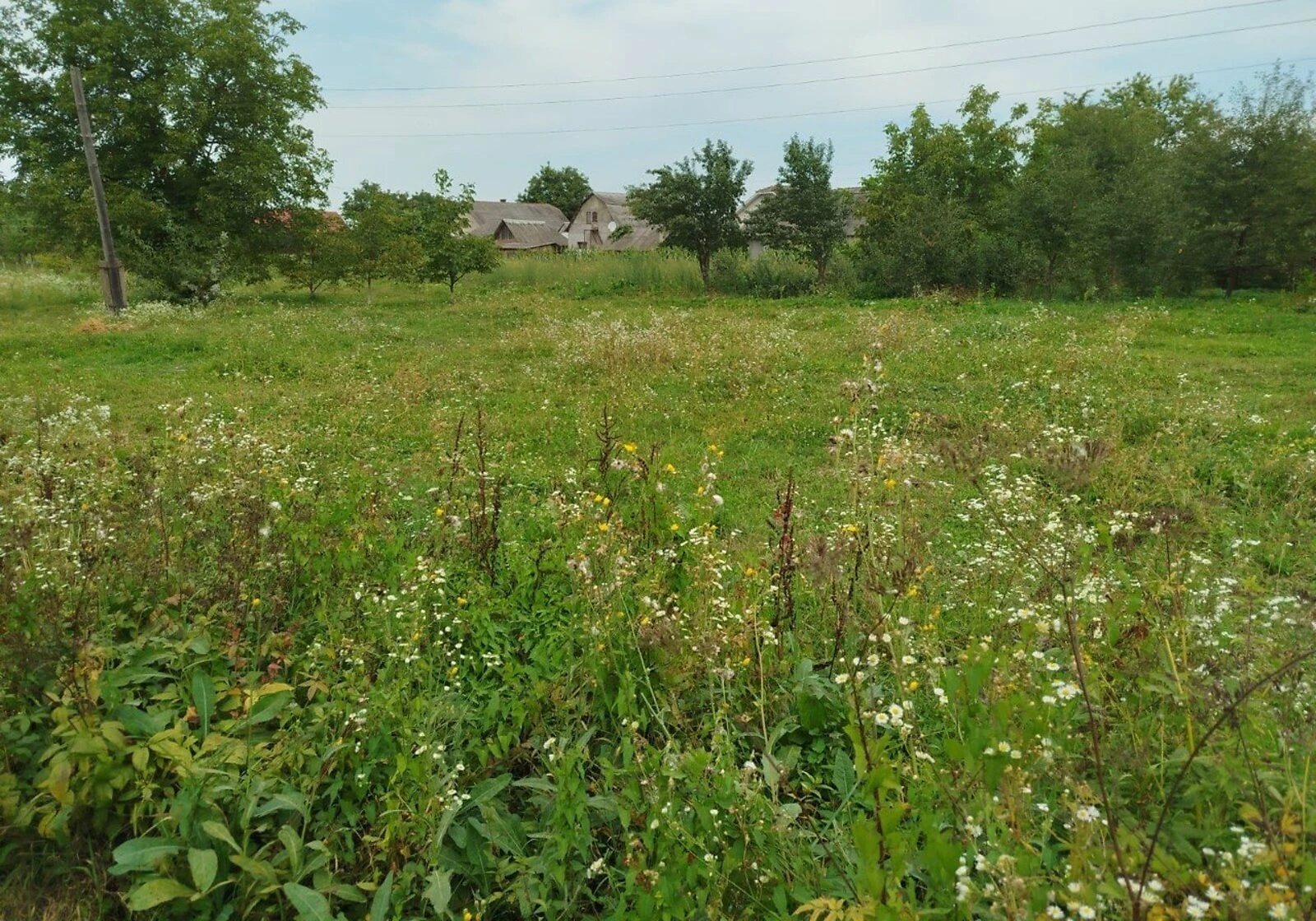 Будинок, Мілієве: ділянка, глинобитні стіни, фото 4