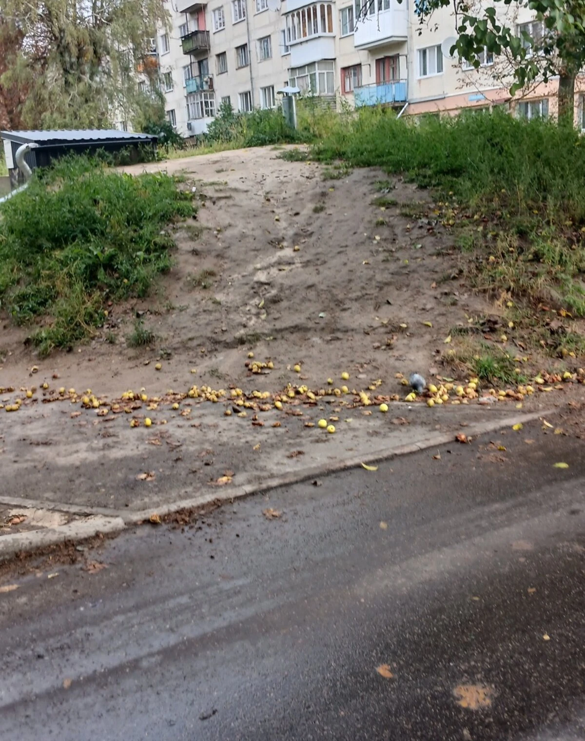2-кімнатна квартира, Ніжин: торг можливий, вода і газ без світла - фото 4