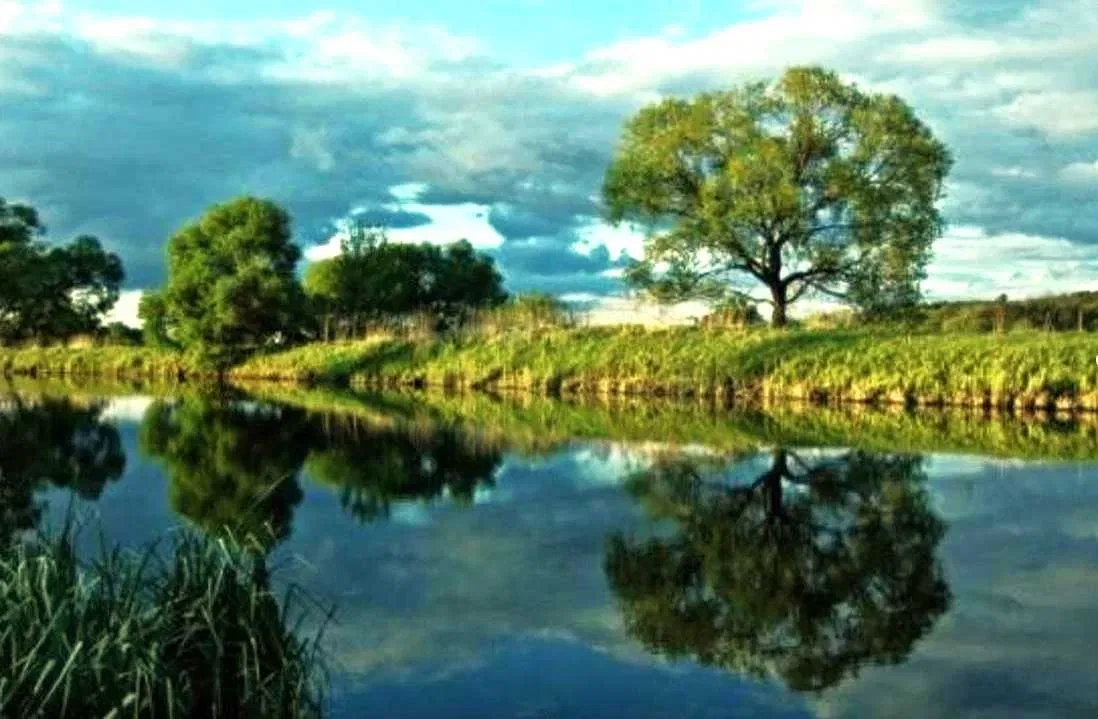 Участок 6 соток, Лука: электричество, река Ирпень 300 м, рассрочка