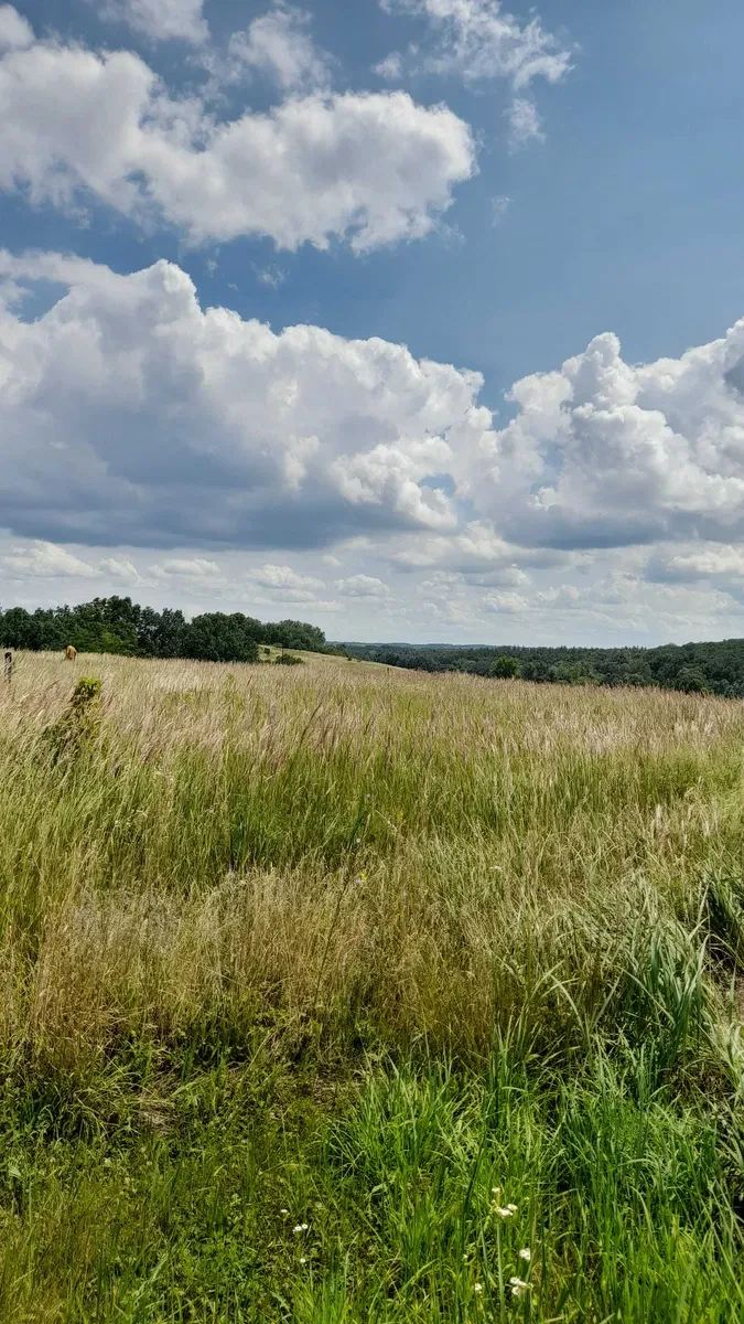 Ділянка 0.10 соток, Ржищів: під житлову забудову, біля лісу, поруч Дніпро - фото 2