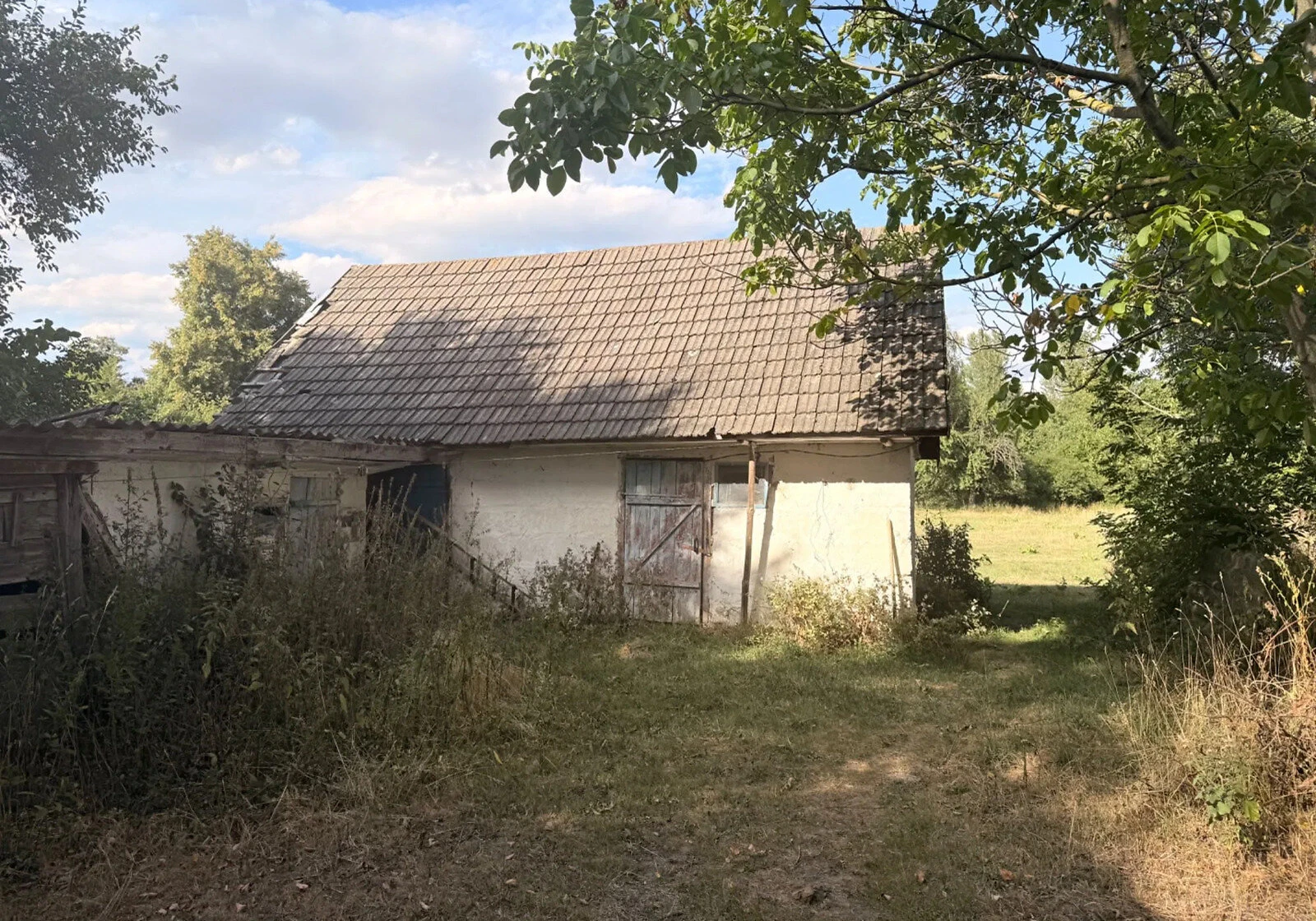 Дача, Плоска: 67 соток, сад і господарські будівлі, фото 5