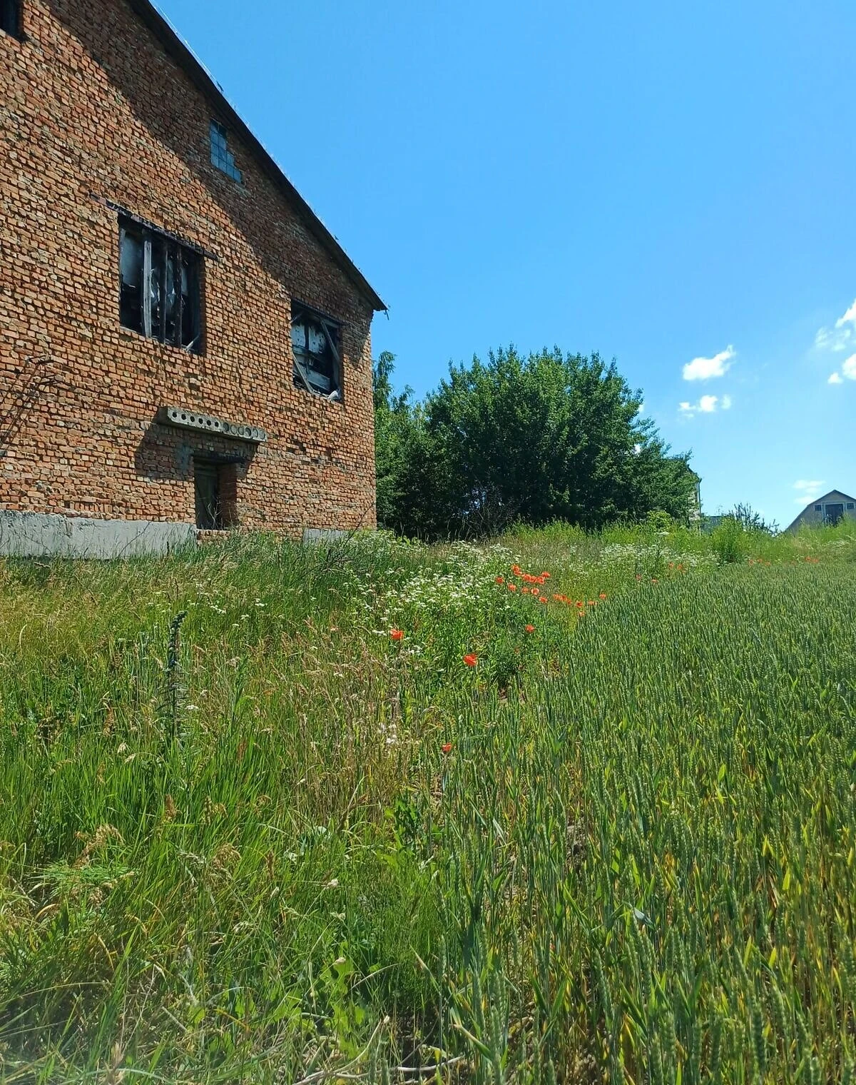 Будинок, Волиця: 10 кімнат, 3 поверхи, панельні стіни - фото 3