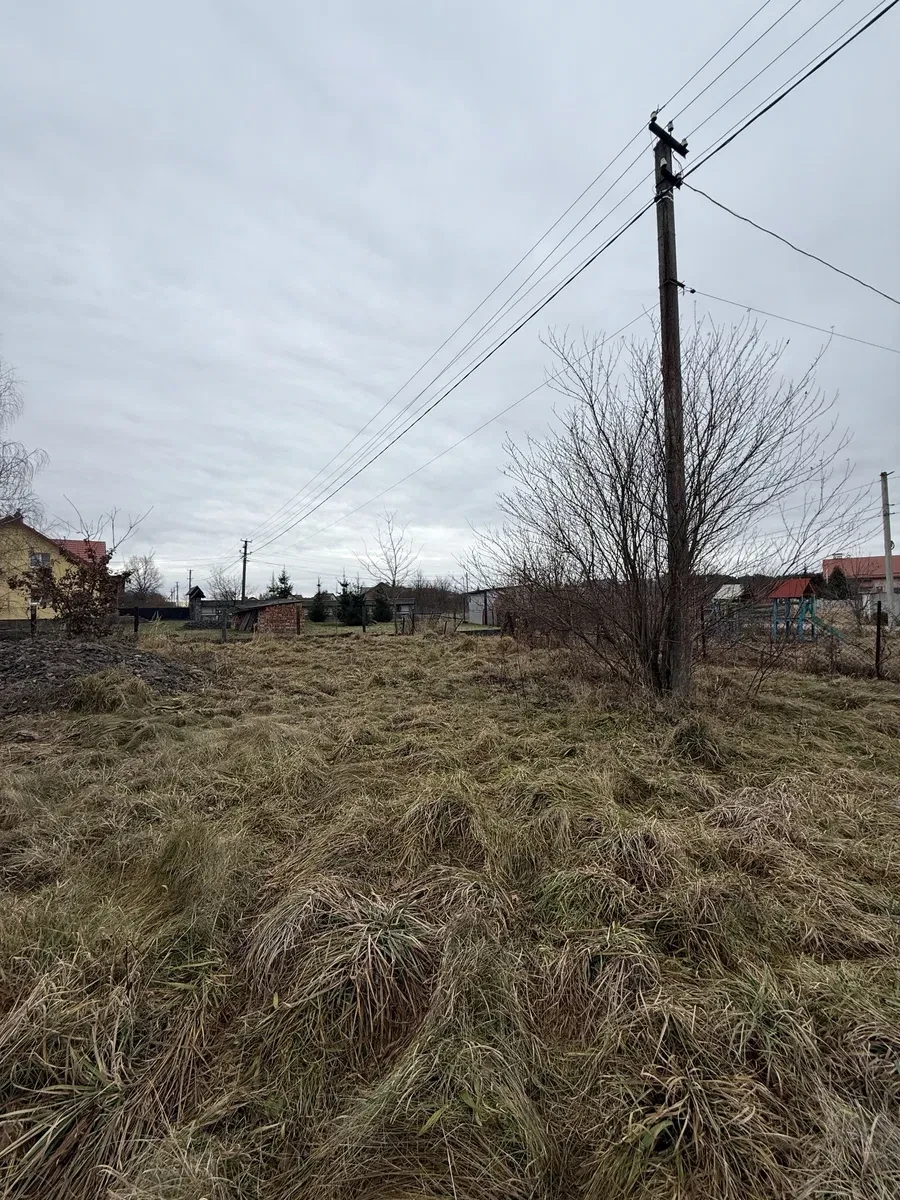Ділянка 12 соток, Паланки: сосновий ліс поруч, газ і світло - фото 3