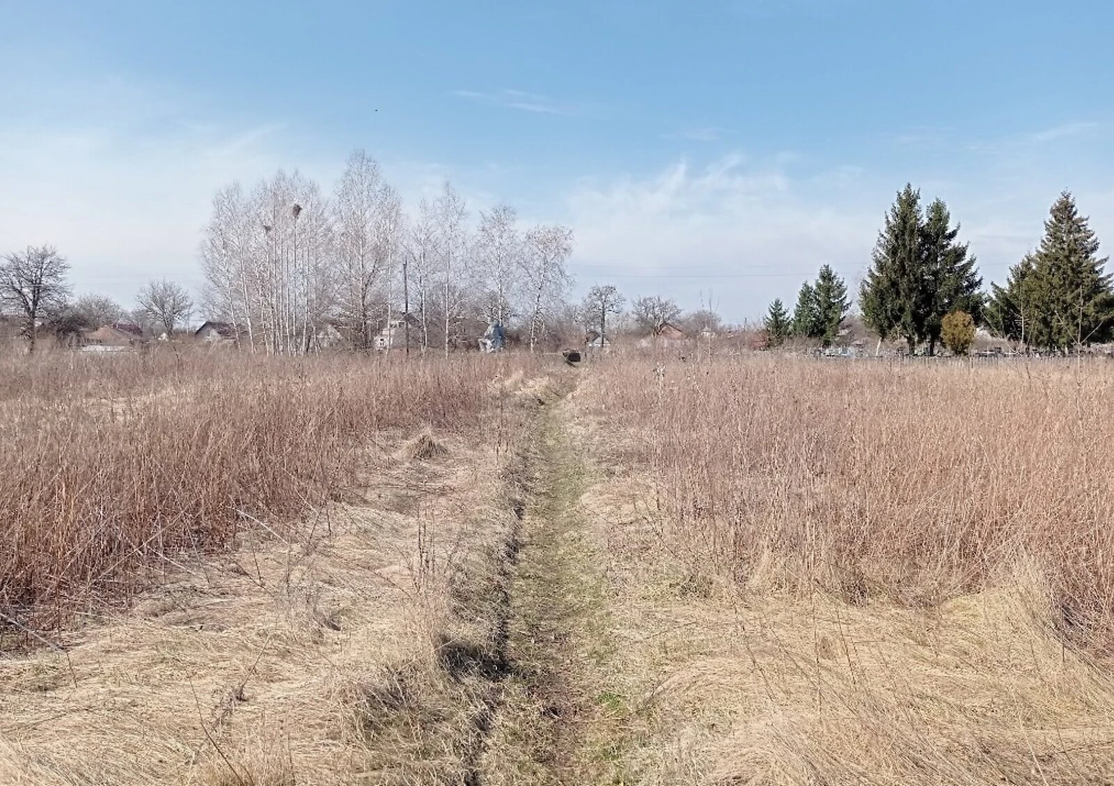 Ділянка 15 соток, Новоселівка: житлова забудова, чорнозем - фото 3