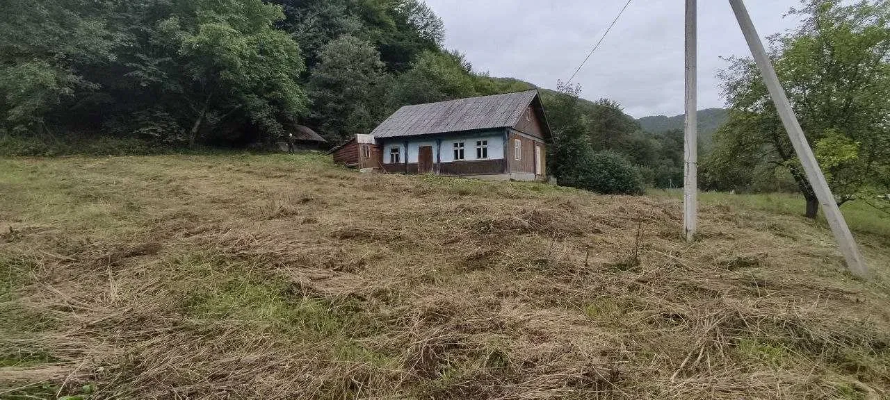 Дом, Виженка: скважина, приватизированная земля, торг, фото 5
