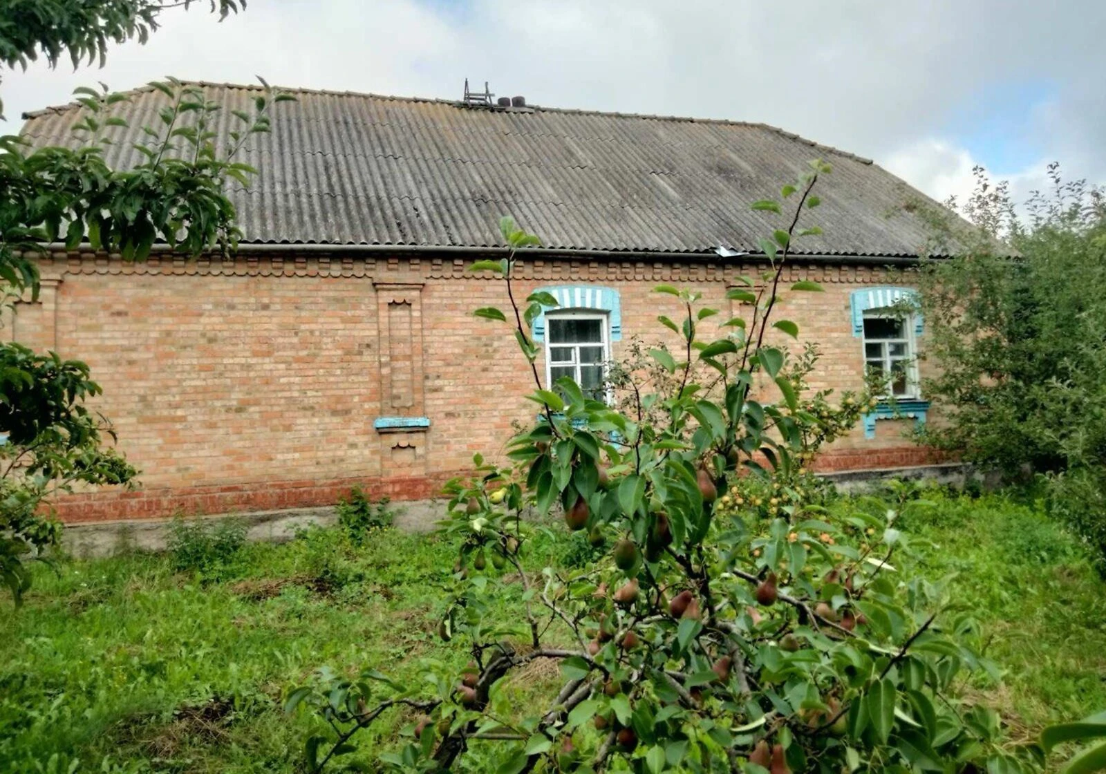 Будинок, Непедівка: веранда, 60 соток, сад і літня кухня, фото 3