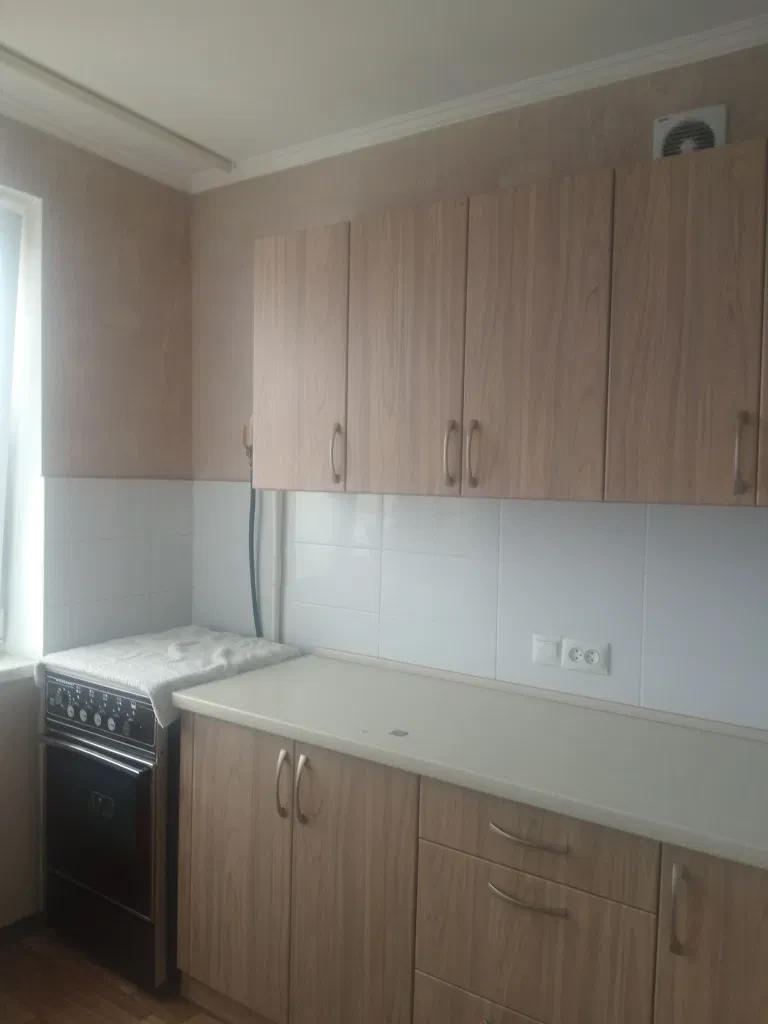 1-комнатная квартира, Дарницкий: отопление без света, парк, озеро, фото 2