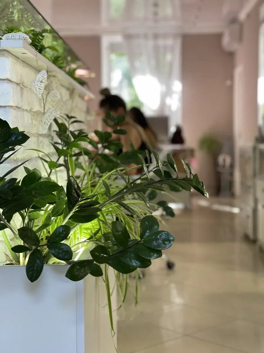 Салон, Покровський: 5 робочих столів, клієнтська база, фото 2