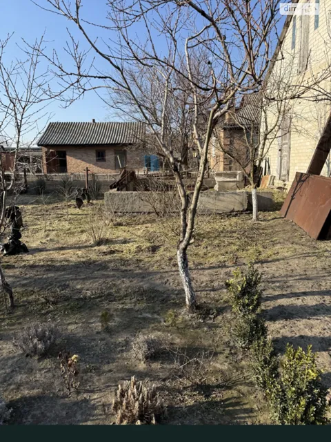 Будинок, Олександрія: гараж, погріб, 80 соток - фото 2