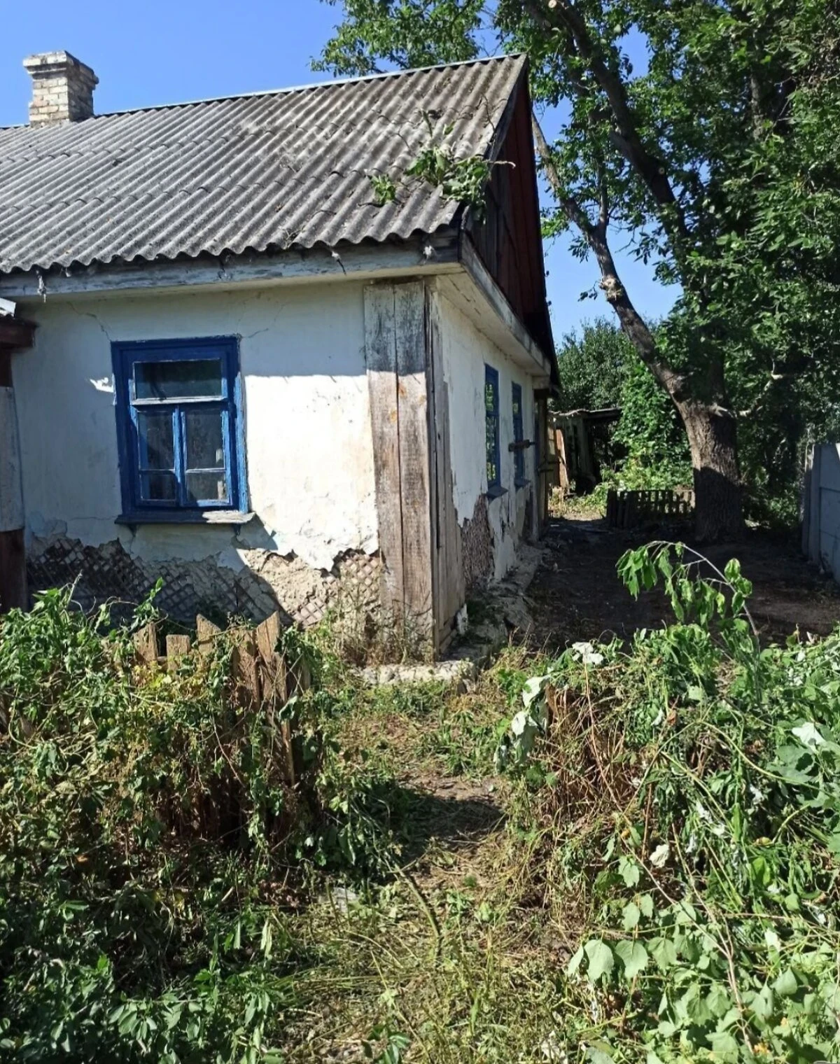 Частина будинку, Звягель: сад, літня кухня, торг - фото 1