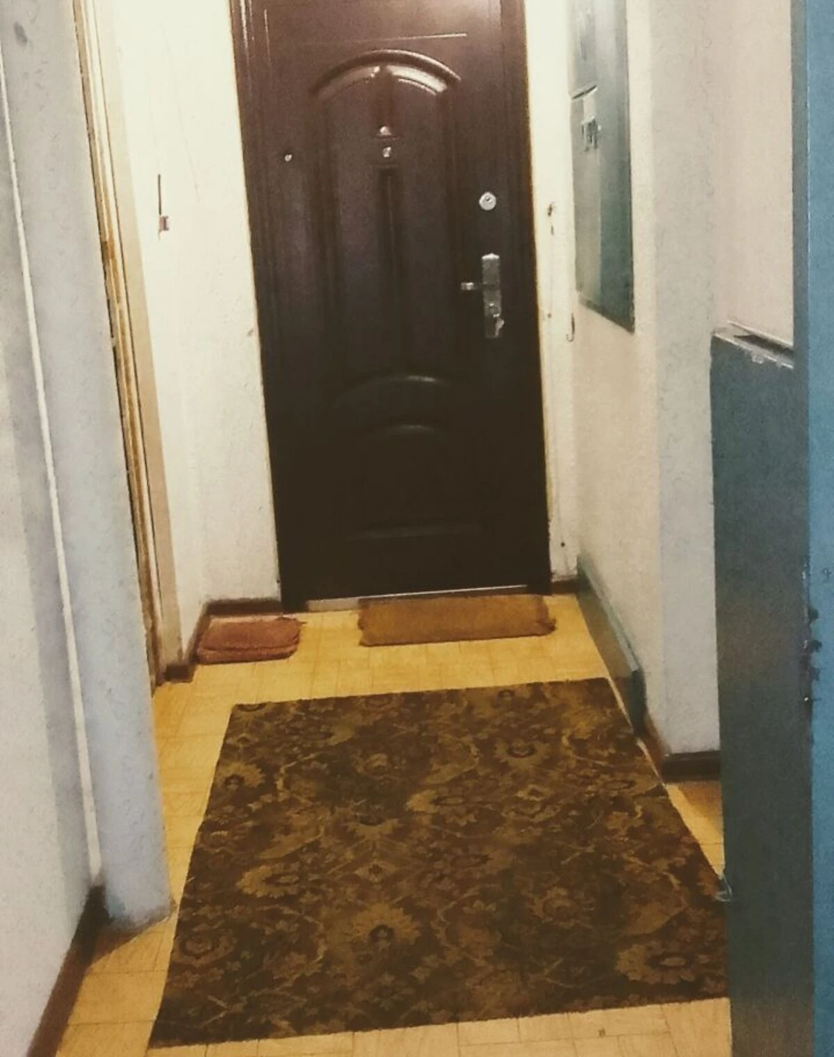 2-кімнатна квартира, Троєщина: косметичний ремонт, інтернет без світла - фото 2