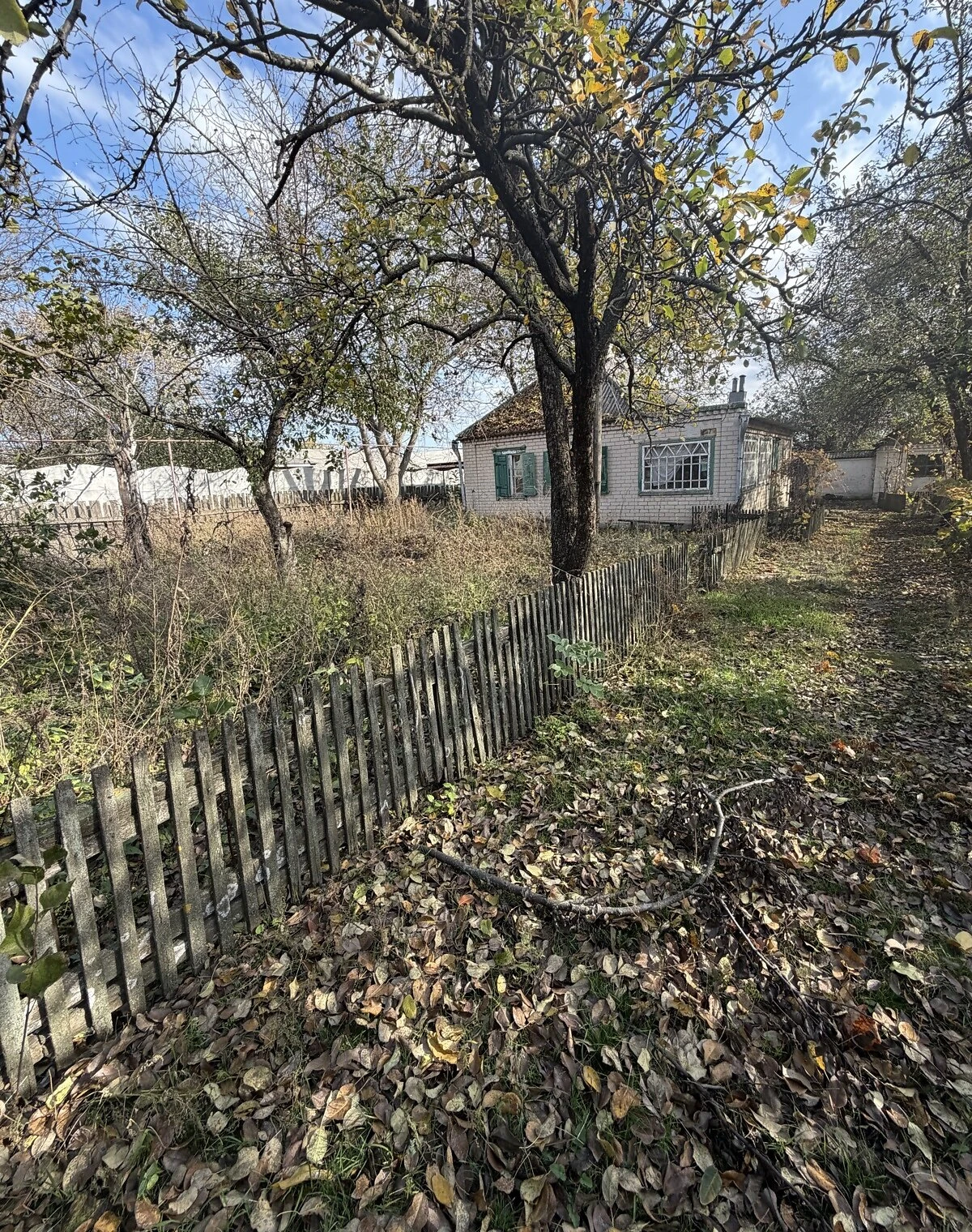 Дом, Казначеевка: колодец, сад и летняя кухня, фото 3
