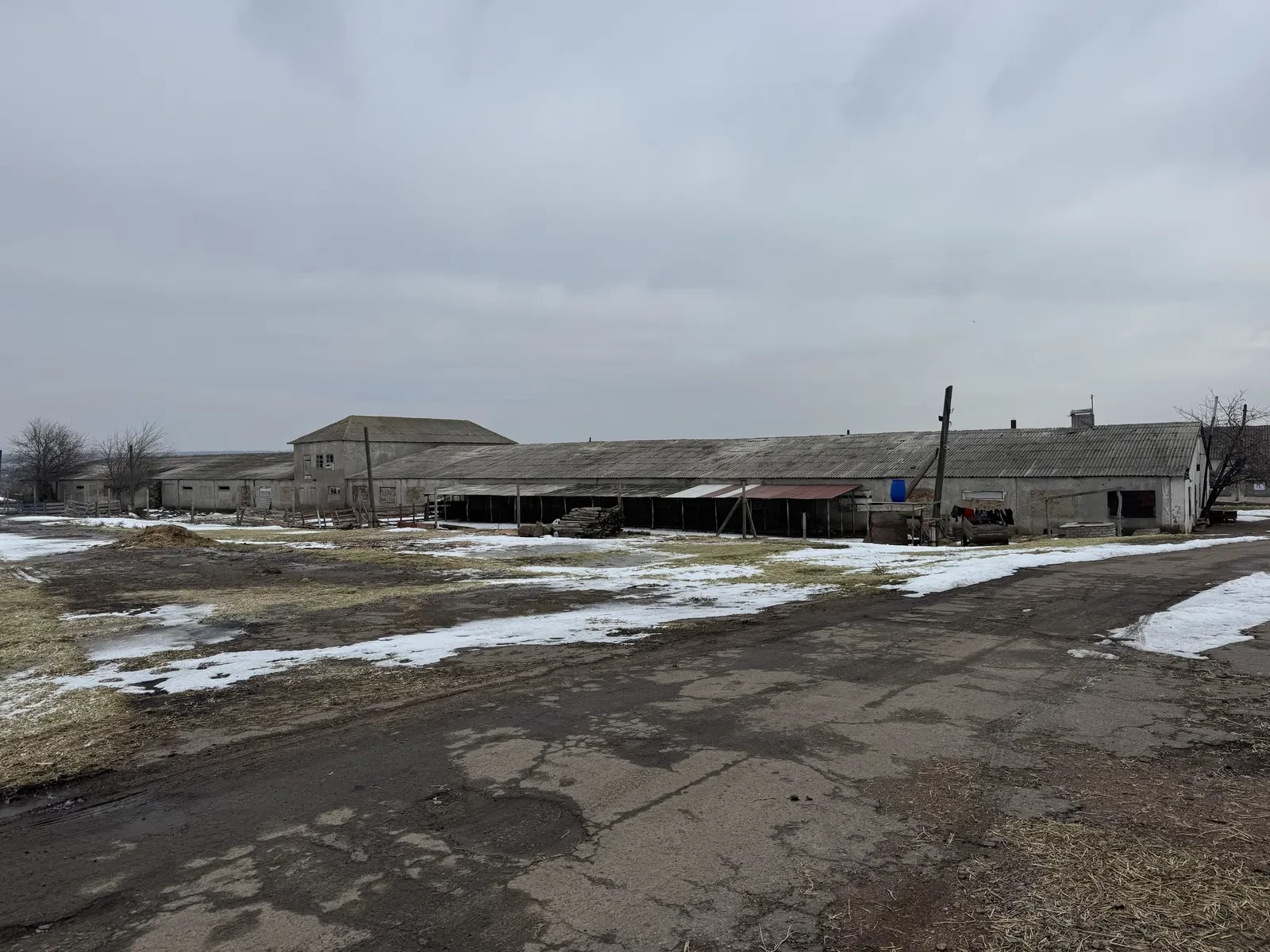 Ферма, Прибужье: 4,6 га, электричество 380 В, 2 ангара 600 м², фото 3