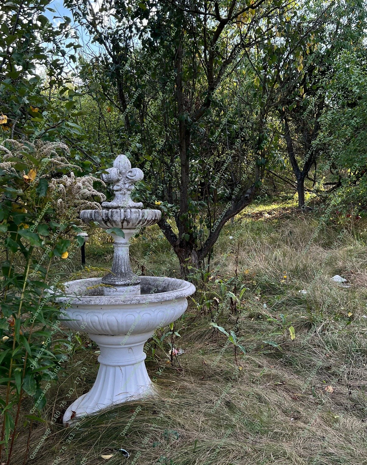 Будинок, Воронівка: басейн, сауна, свердловина - фото 1