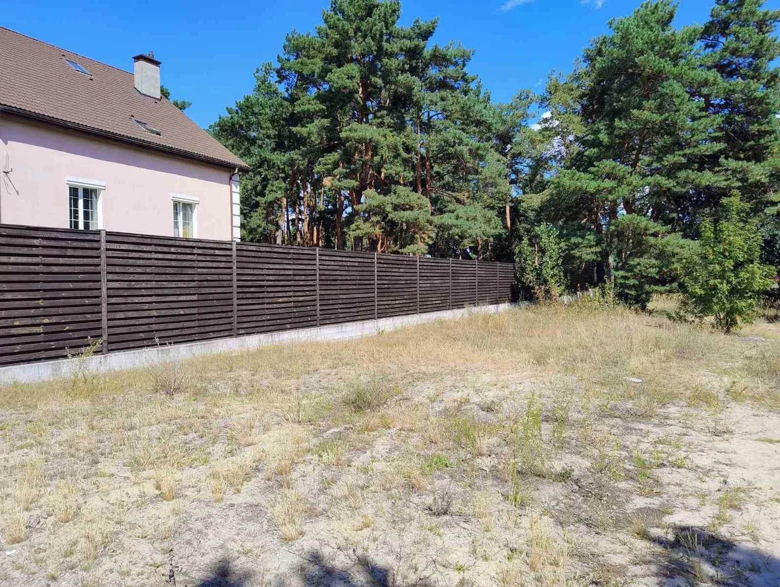 Ділянка 65 соток, Хотянівка: 80 м до обвідного каналу, електрика біля ділянки - фото 3