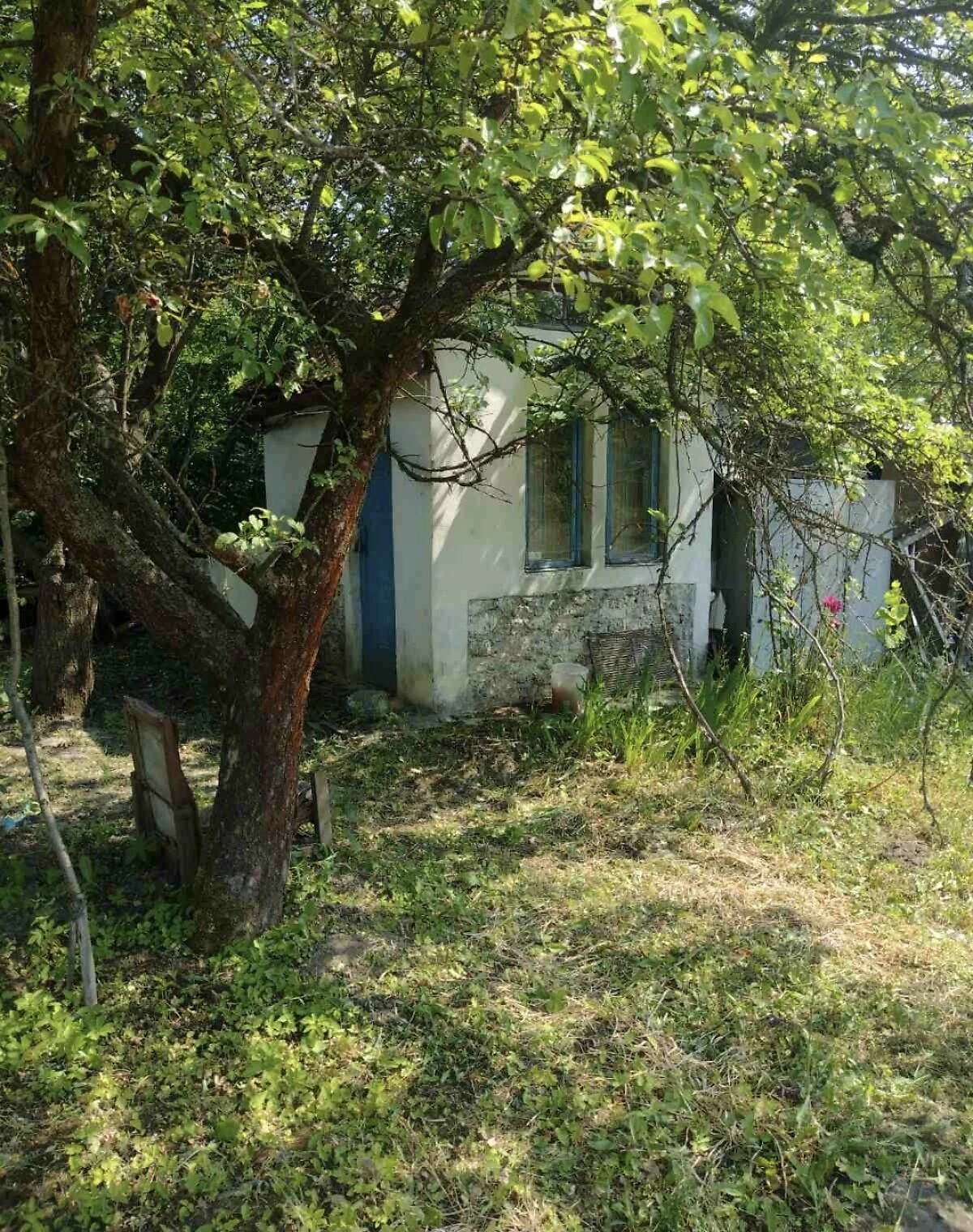 Ділянка 12 соток, Тернопіль: свердловина, сад і виноградник - фото 1