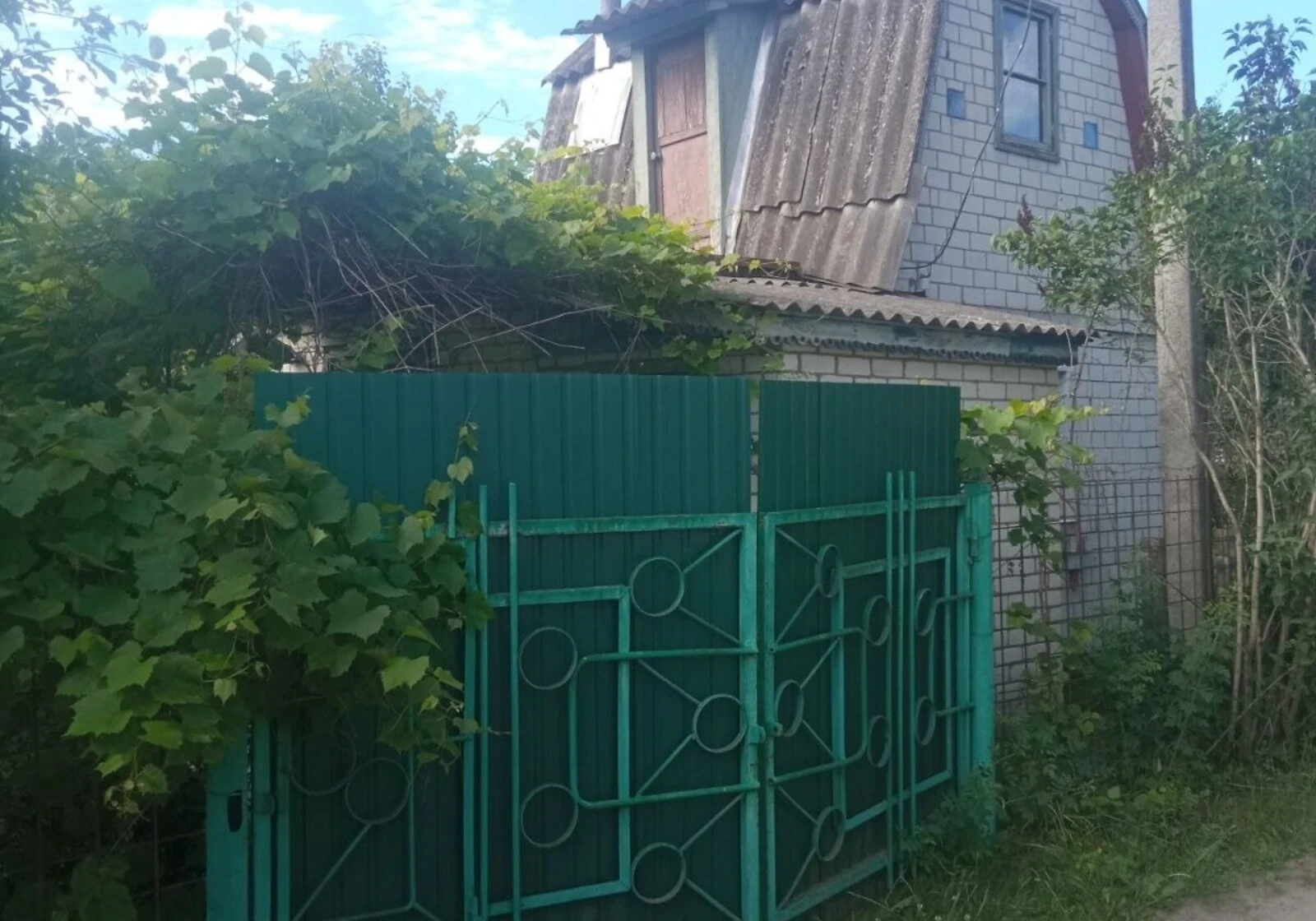 Участок 5 соток, Деснянка: дачный кооператив, сад и виноградник