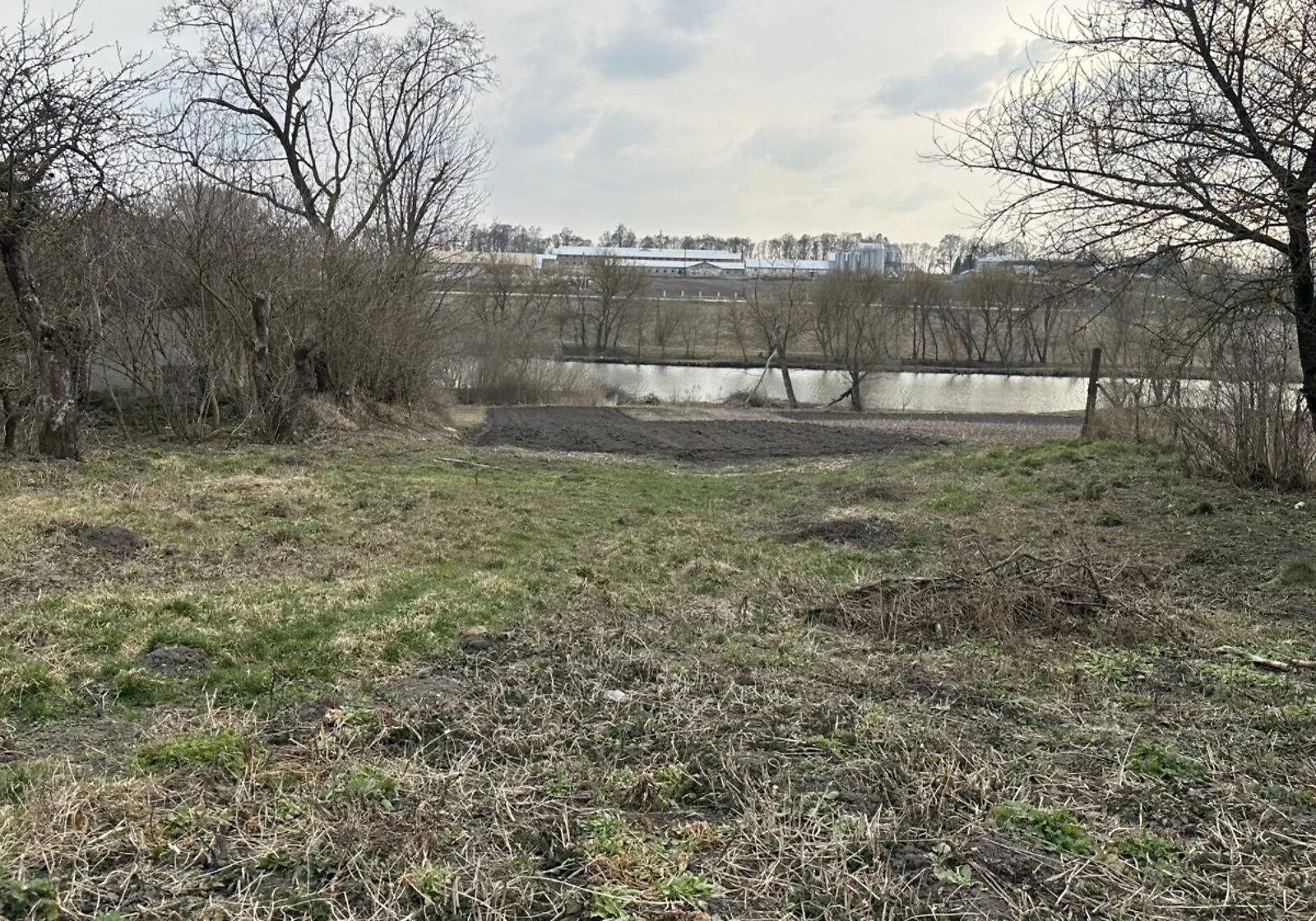 Ділянка 23.27 сотки, Романове село: під житлову забудову, чорнозем - фото 3